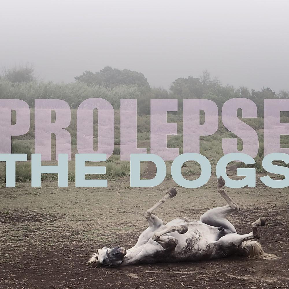 Постер альбома The Dogs