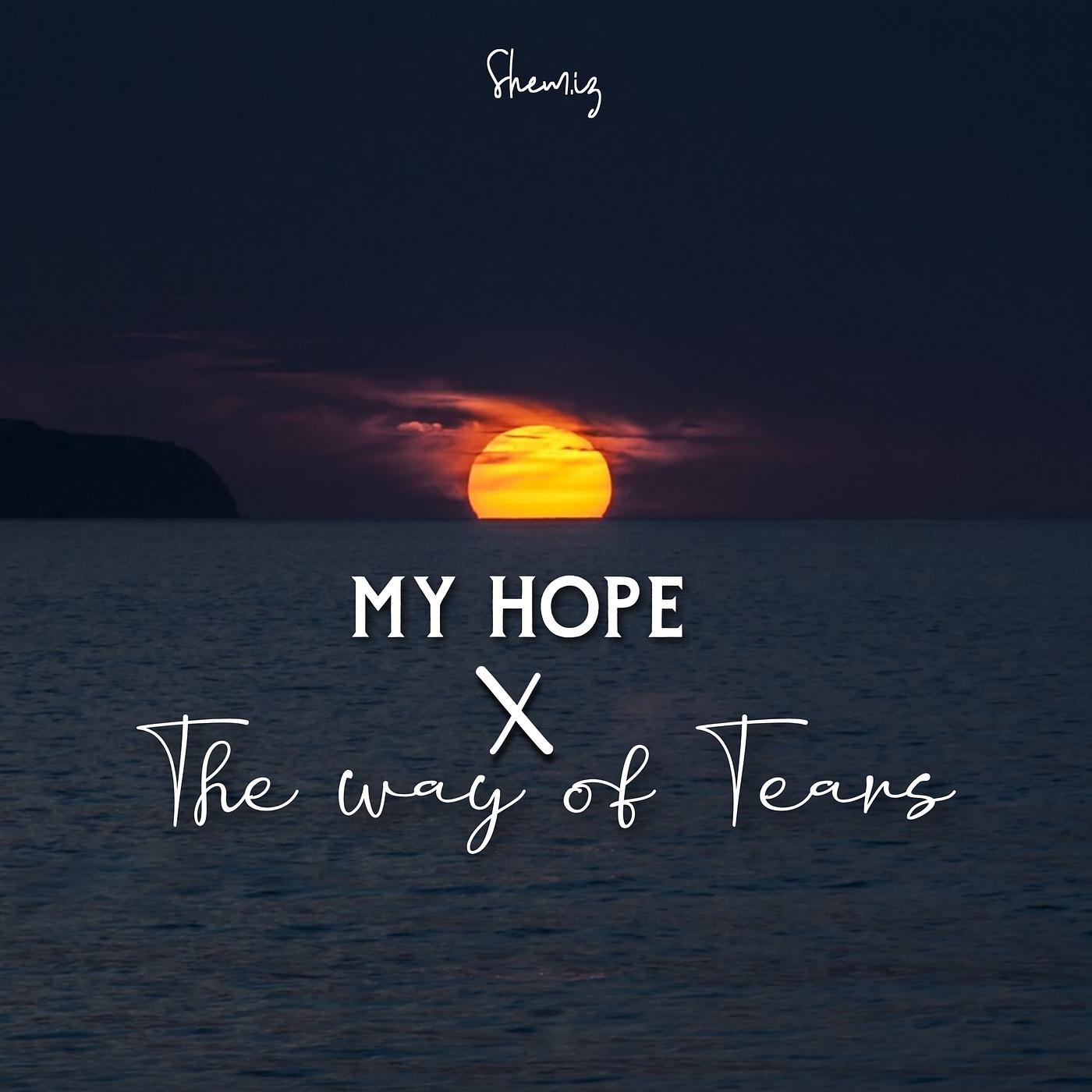 Постер альбома My Hope × the Way of Tears