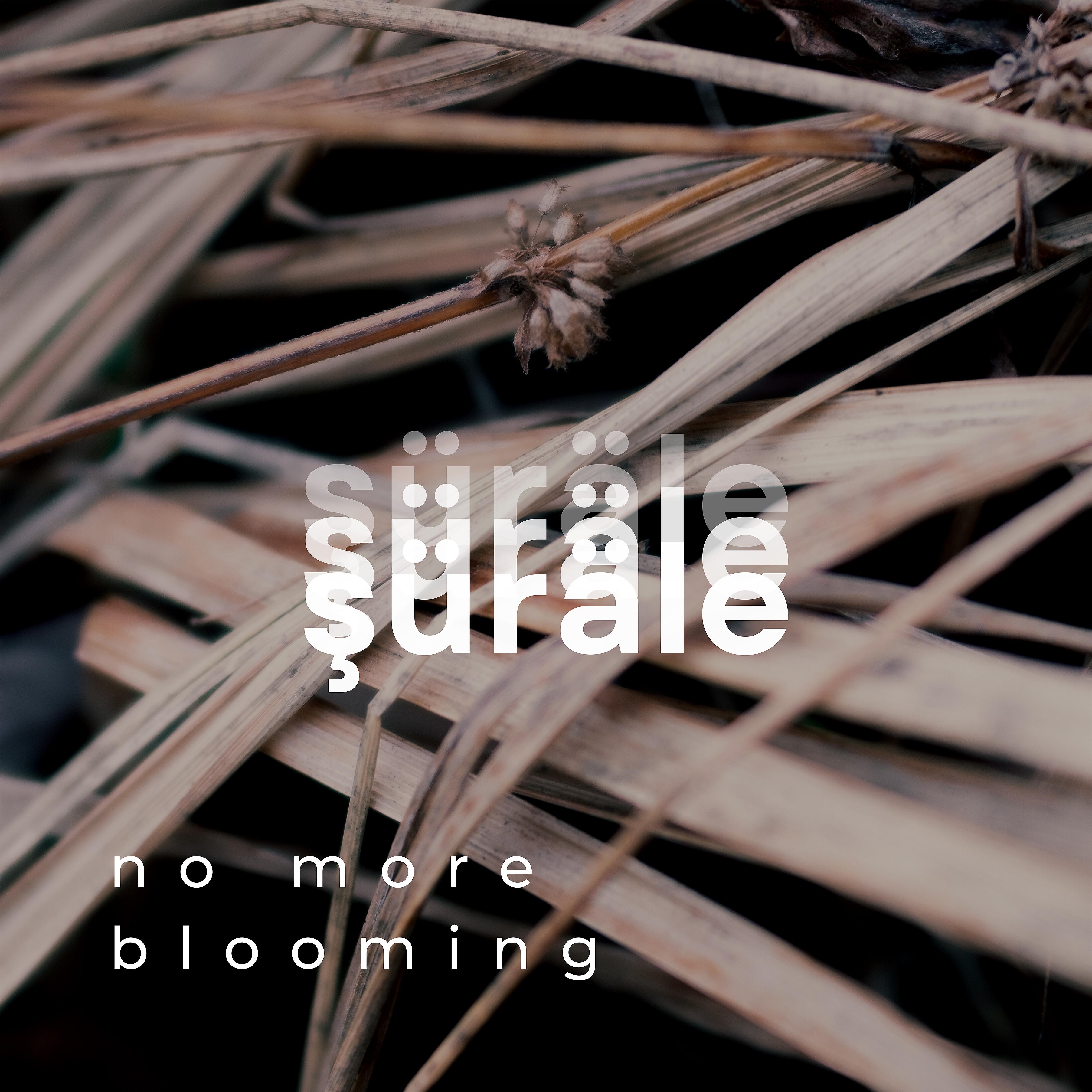 Постер альбома No More Blooming