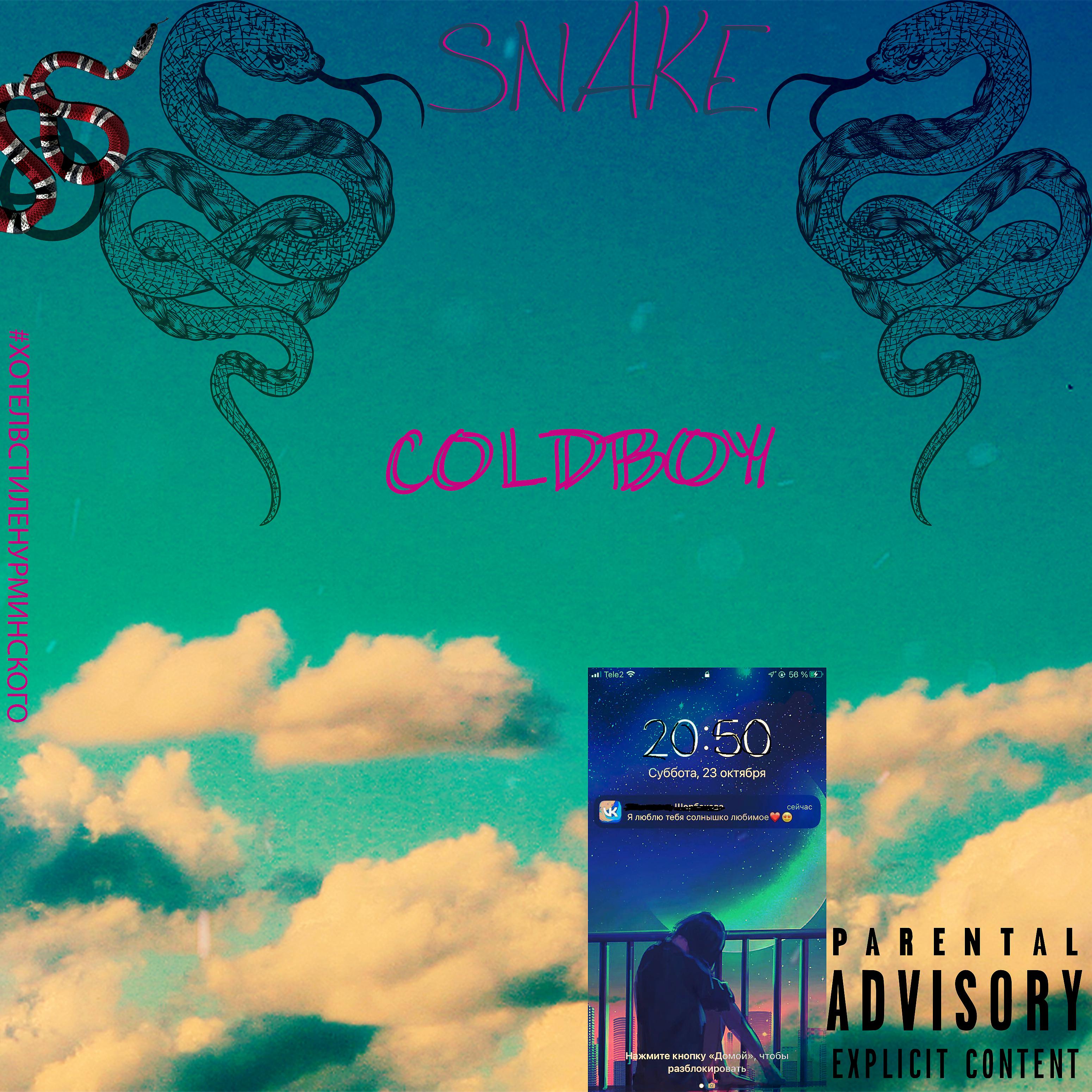 Постер альбома Snake