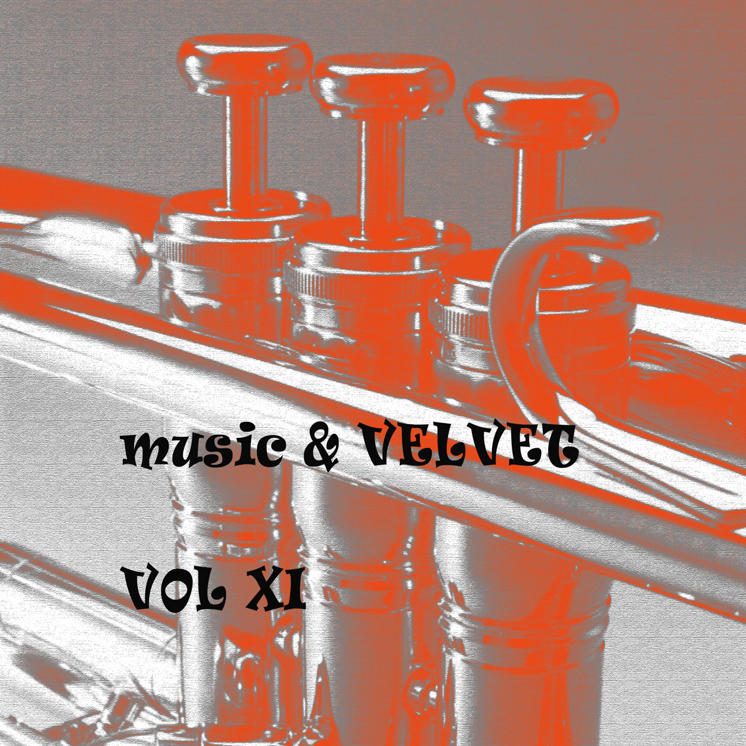Постер альбома Music & Velvet Vol. XI
