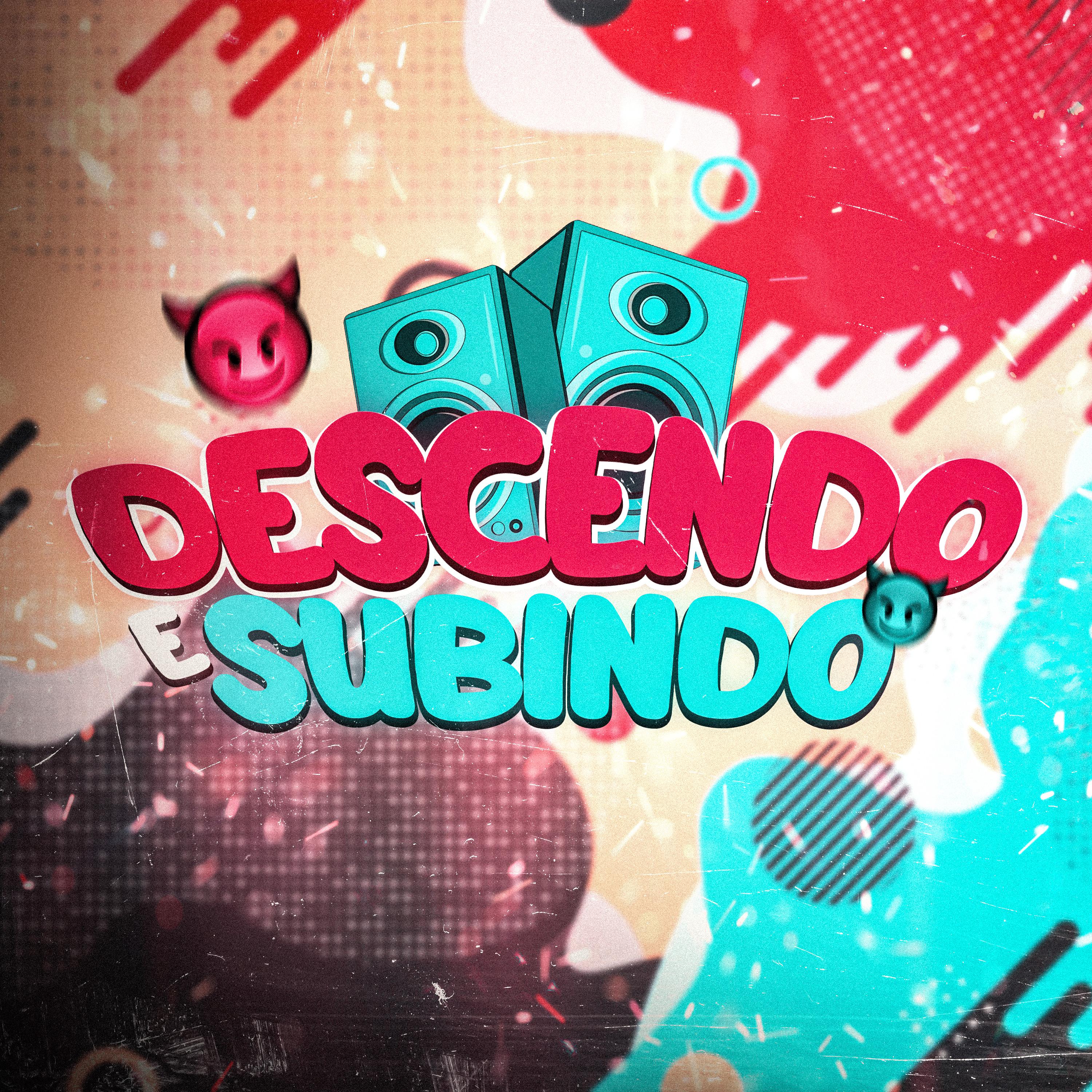 Постер альбома Descendo e Subindo