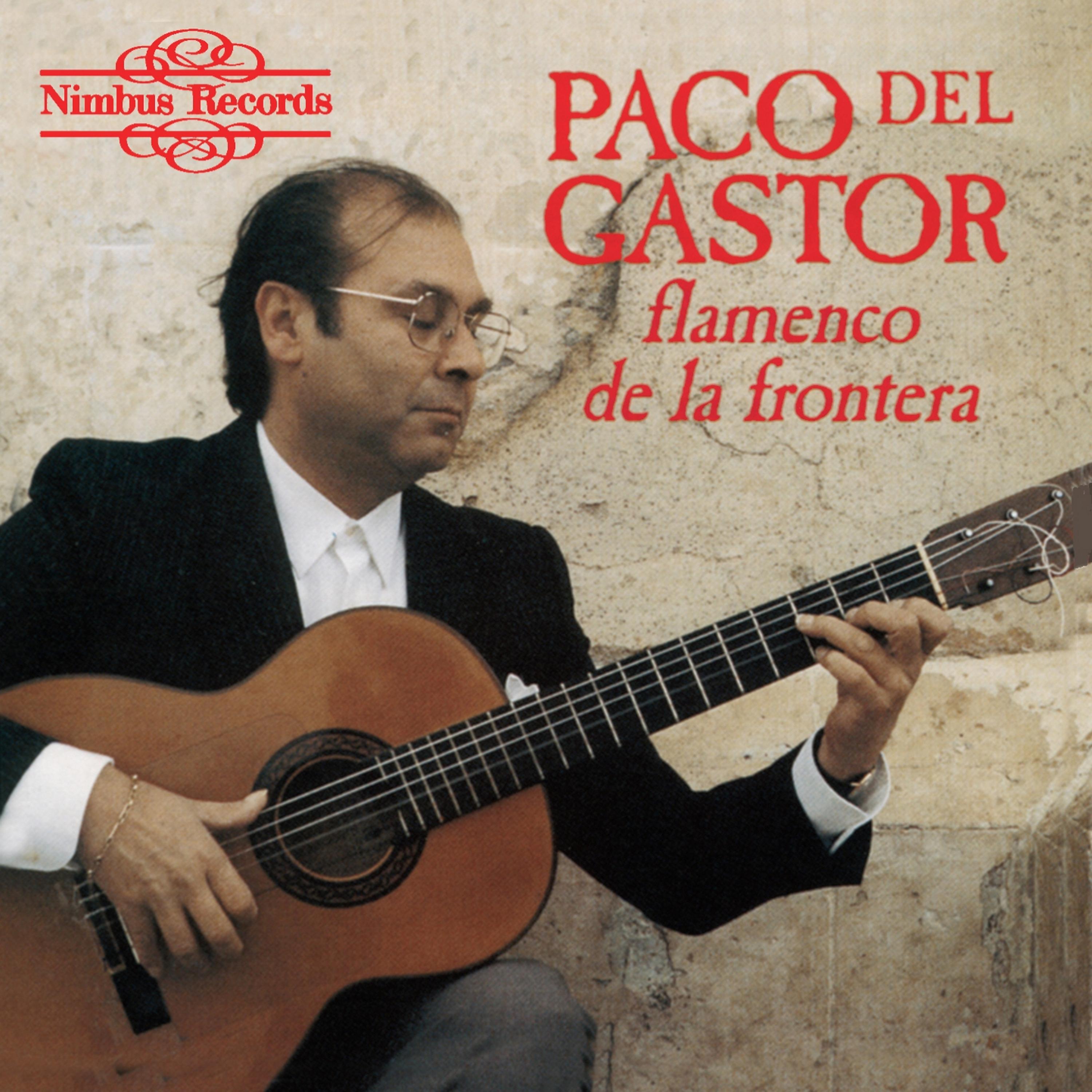 Постер альбома Flamenco De La Frontera