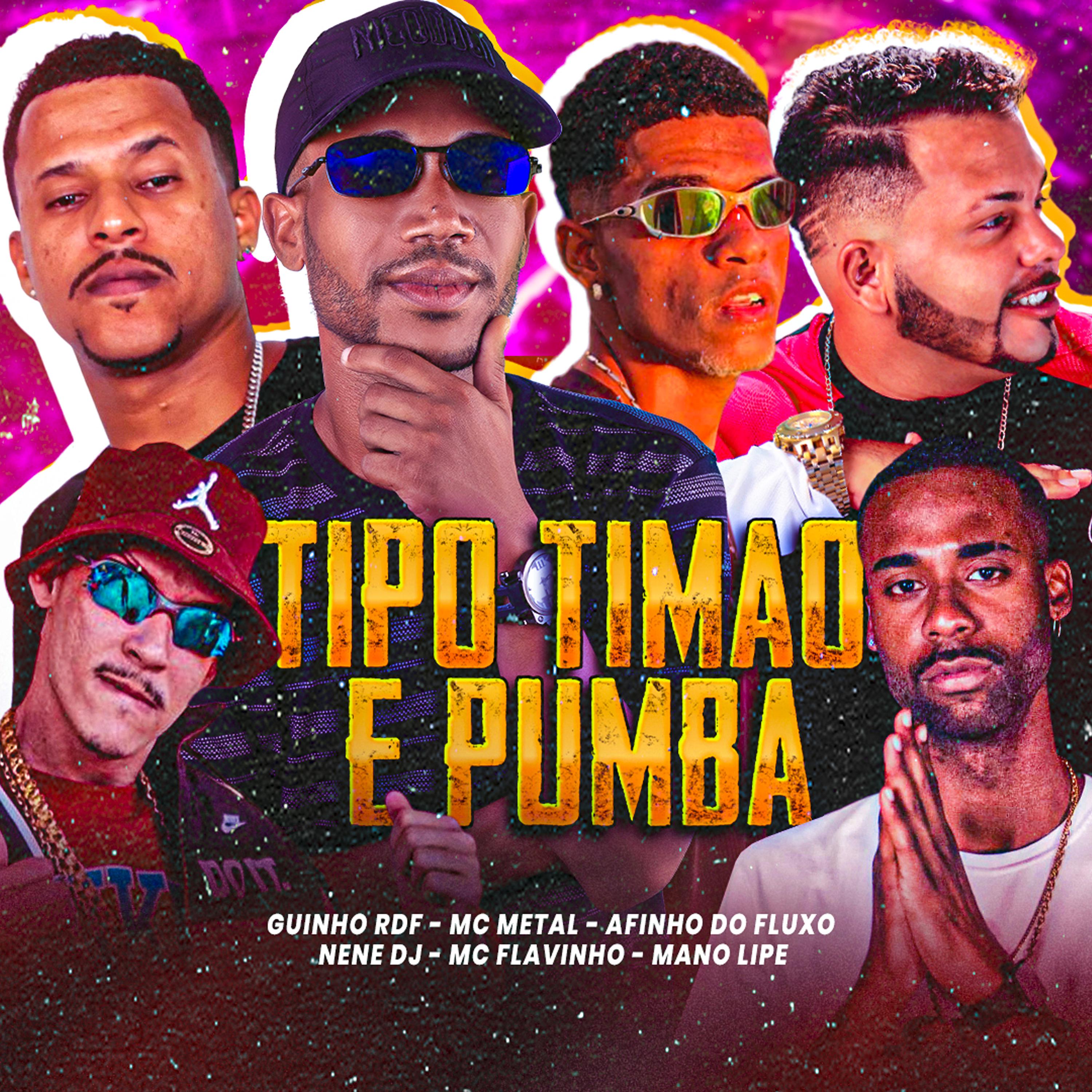 Постер альбома Tipo Timão e Pumba