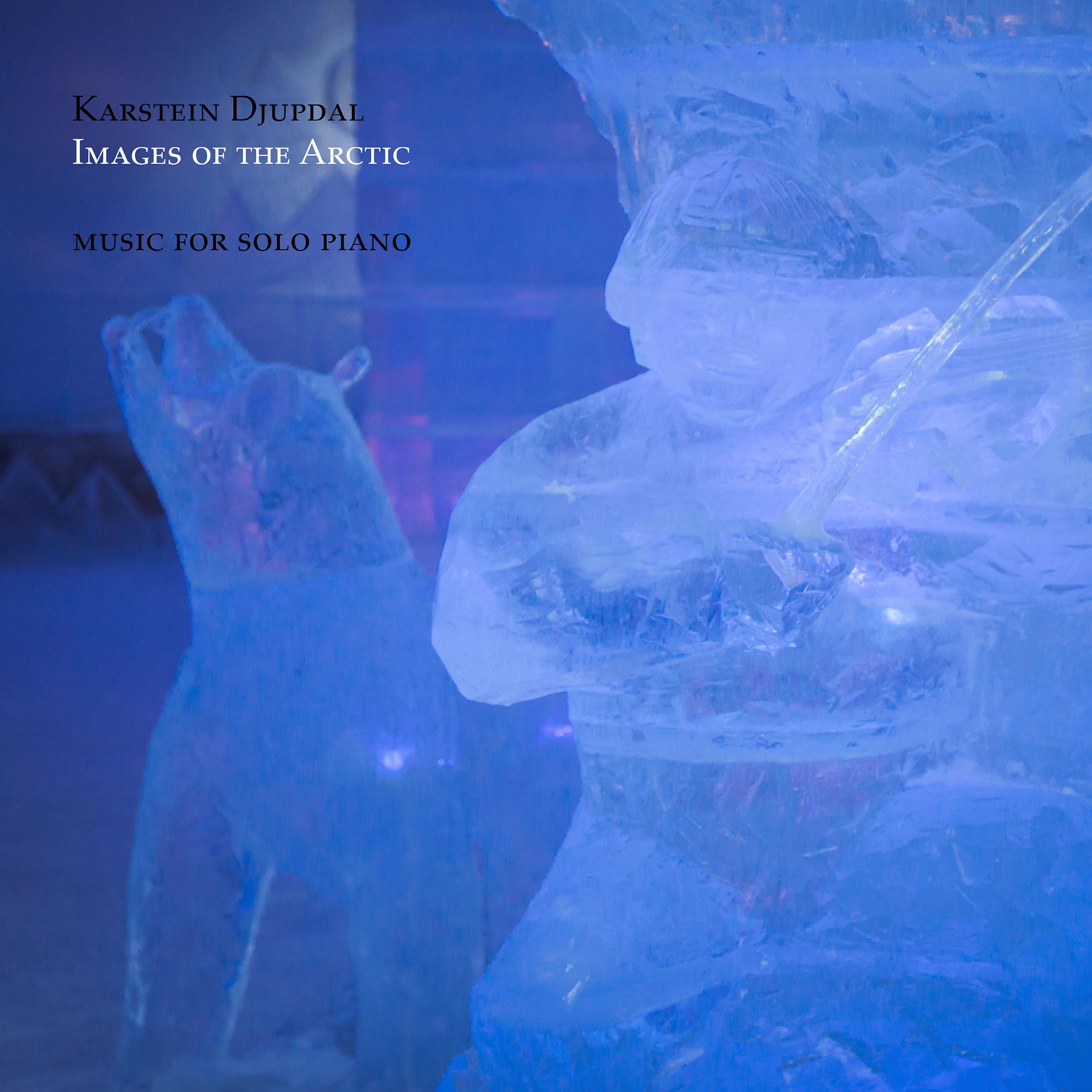 Постер альбома Images of the Arctic