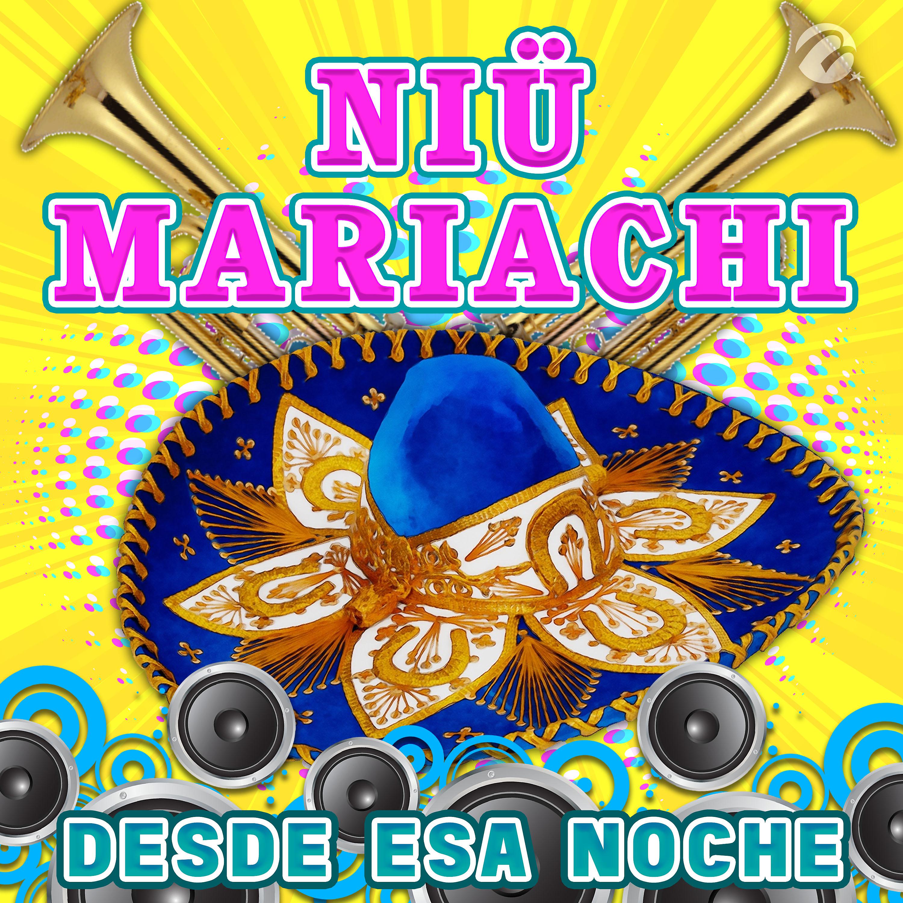 Постер альбома Desde Esa Noche