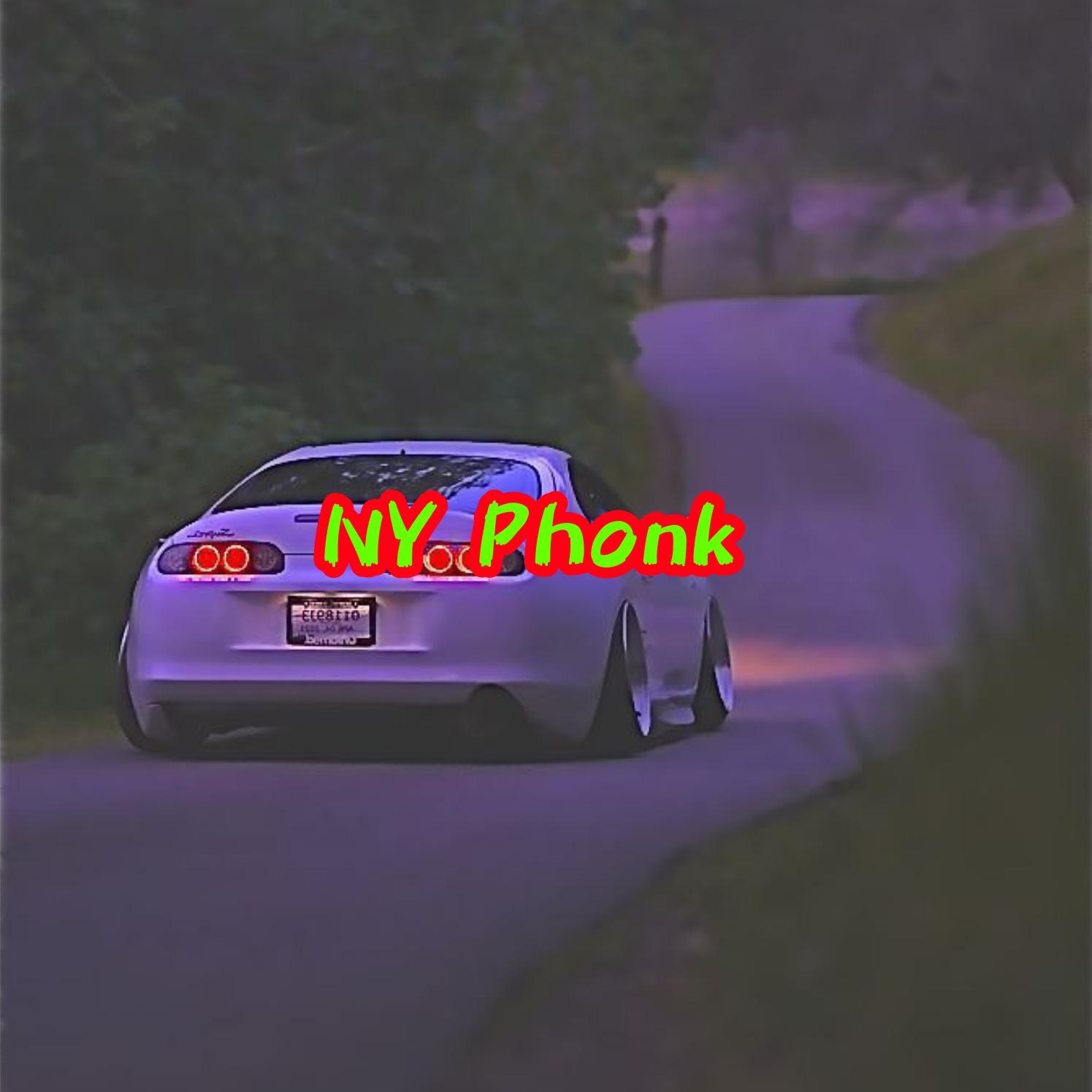 Постер альбома Ny Phonk