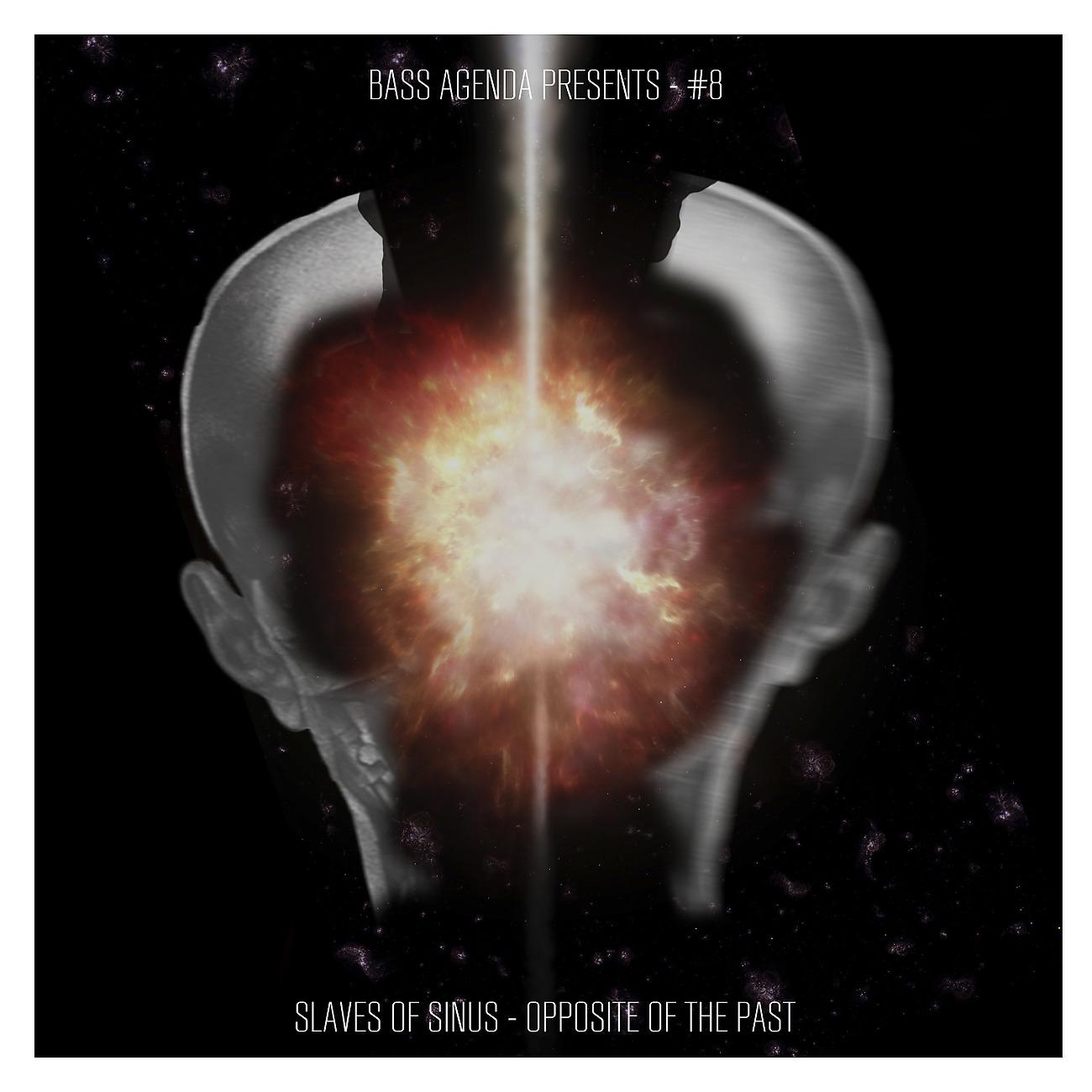 Постер альбома Bass Agenda Presents #8: Slaves of Sinus - Opposite of the Past