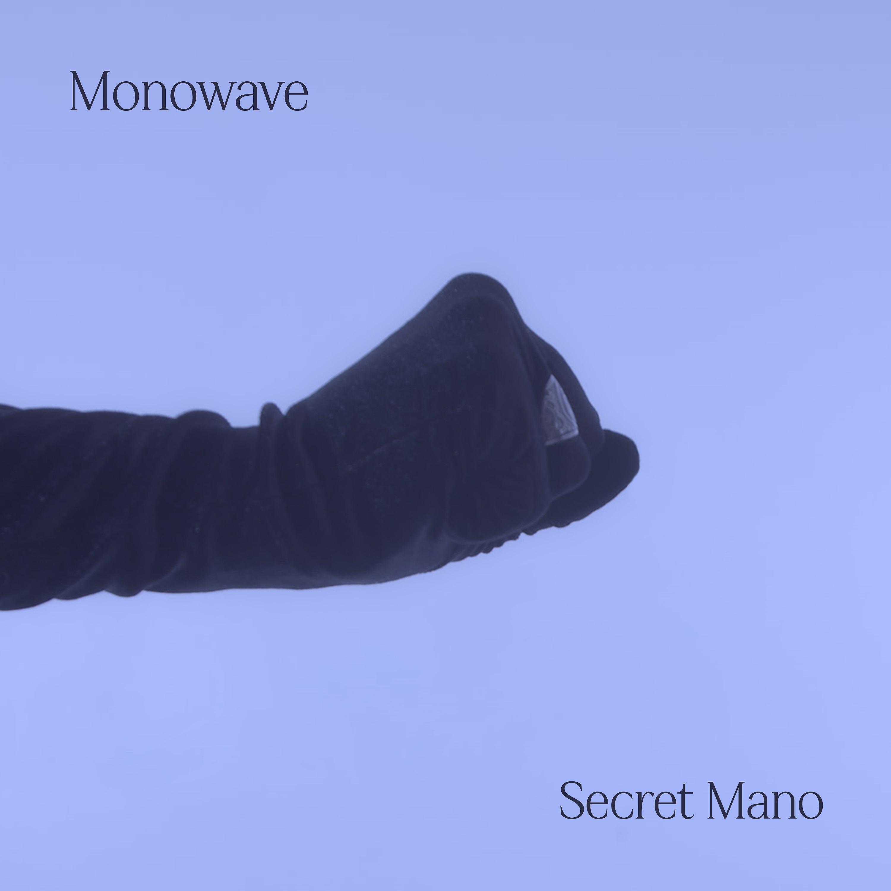 Постер альбома Secret Mano