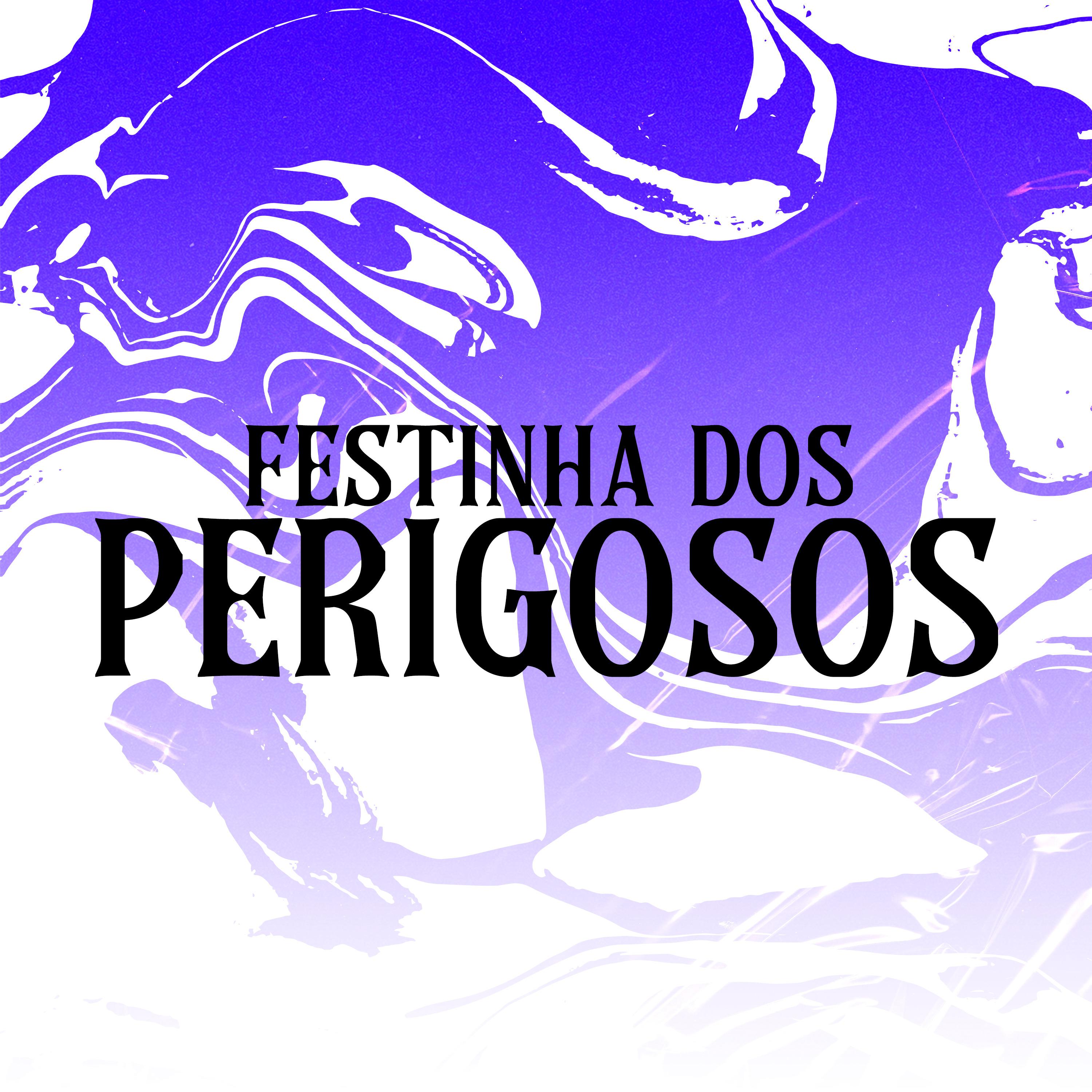 Постер альбома Festinha dos Perigosos