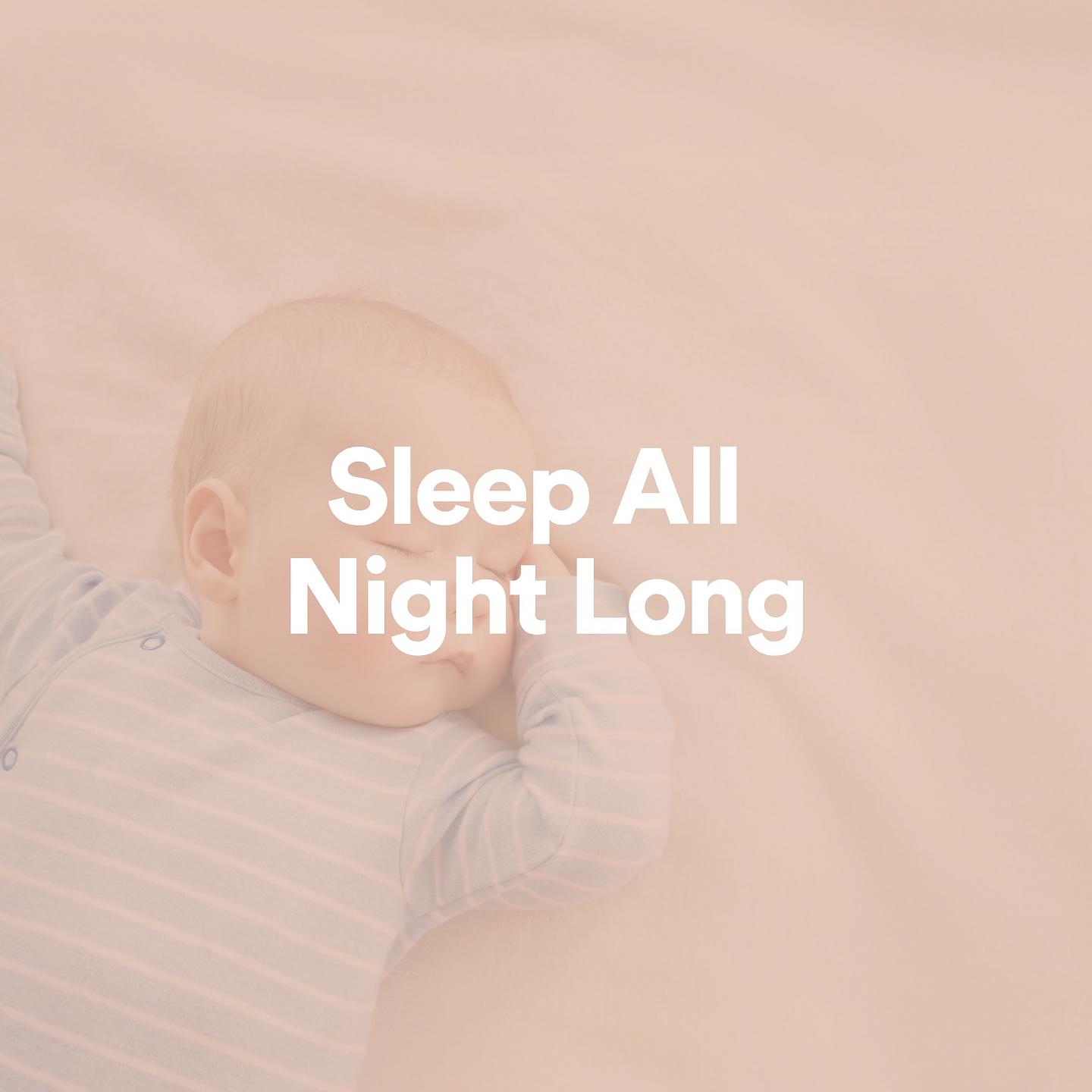 Постер альбома Sleep All Night Long