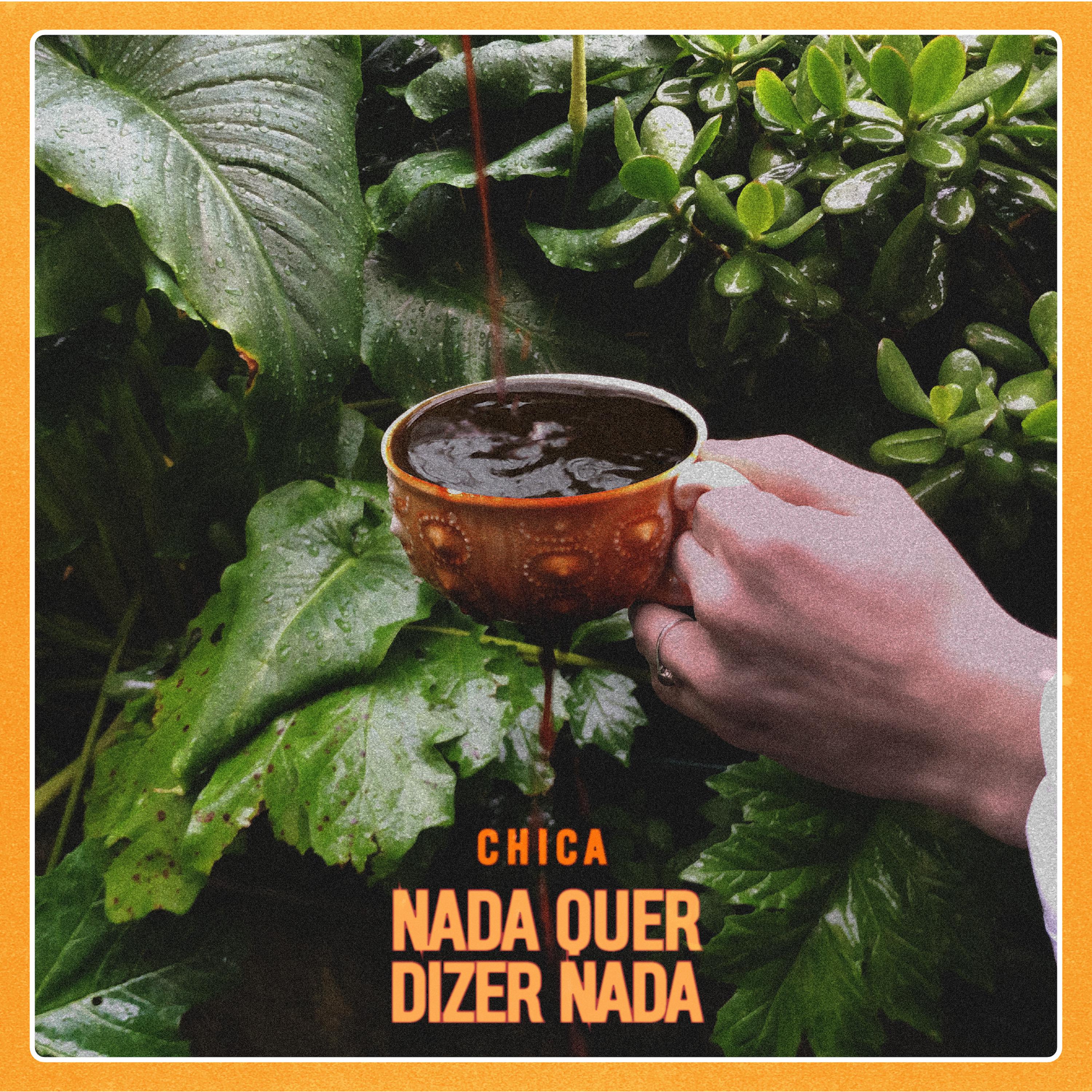 Постер альбома Nada Quer Dizer Nada