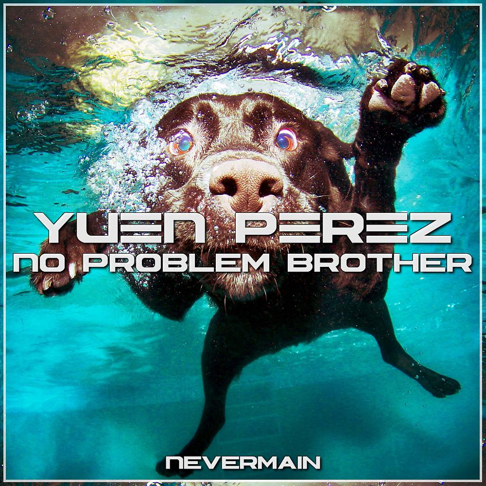 Постер альбома No Problem Brother