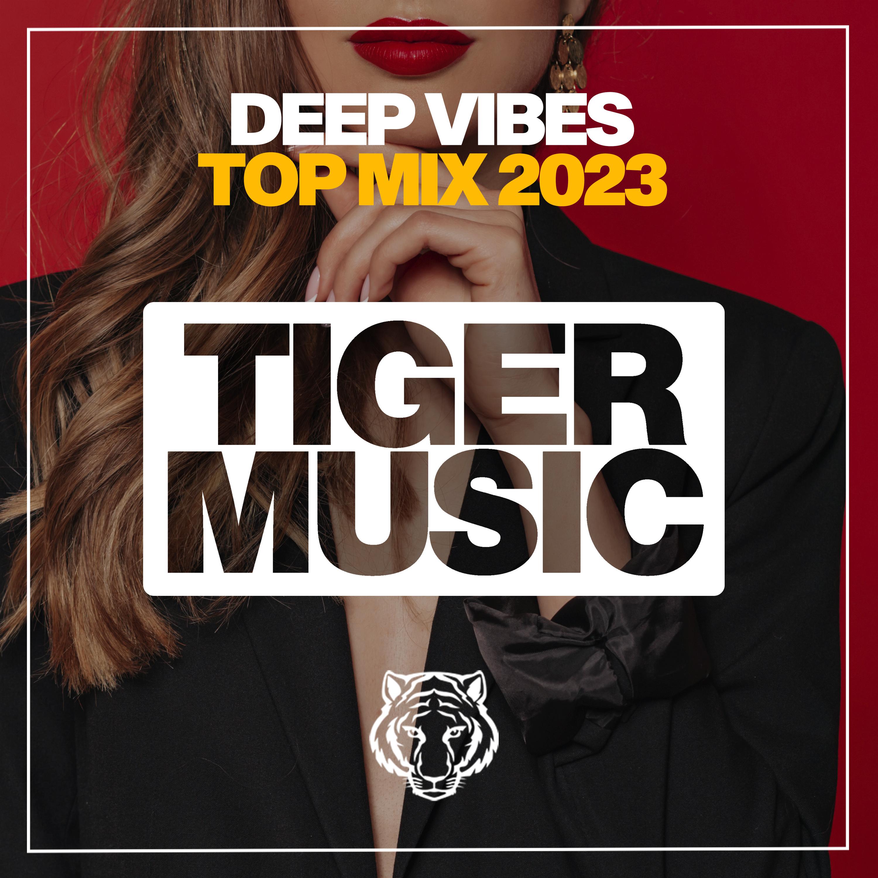 Постер альбома Deep Vibes Top Mix 2023