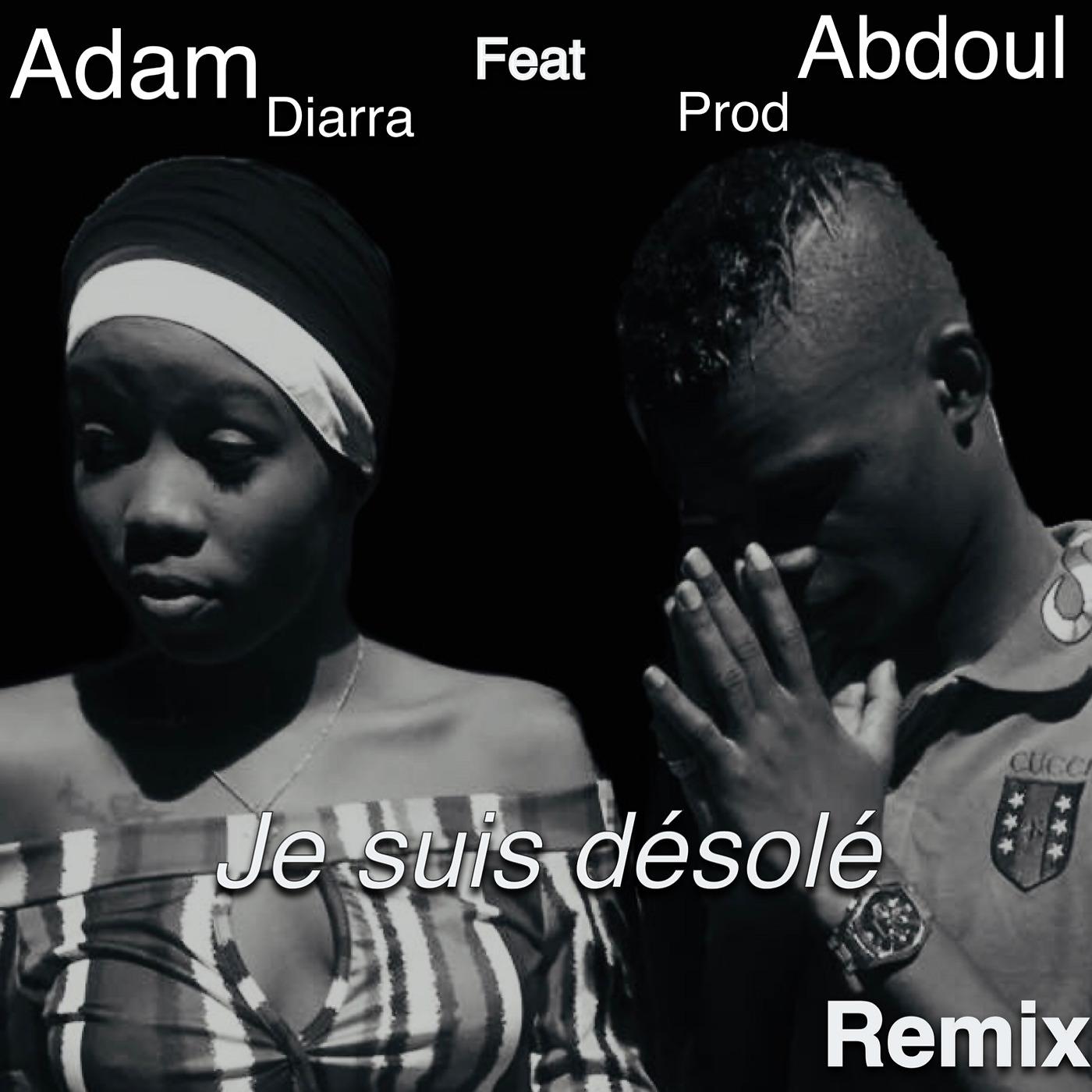 Постер альбома Je suis desole (Remix)