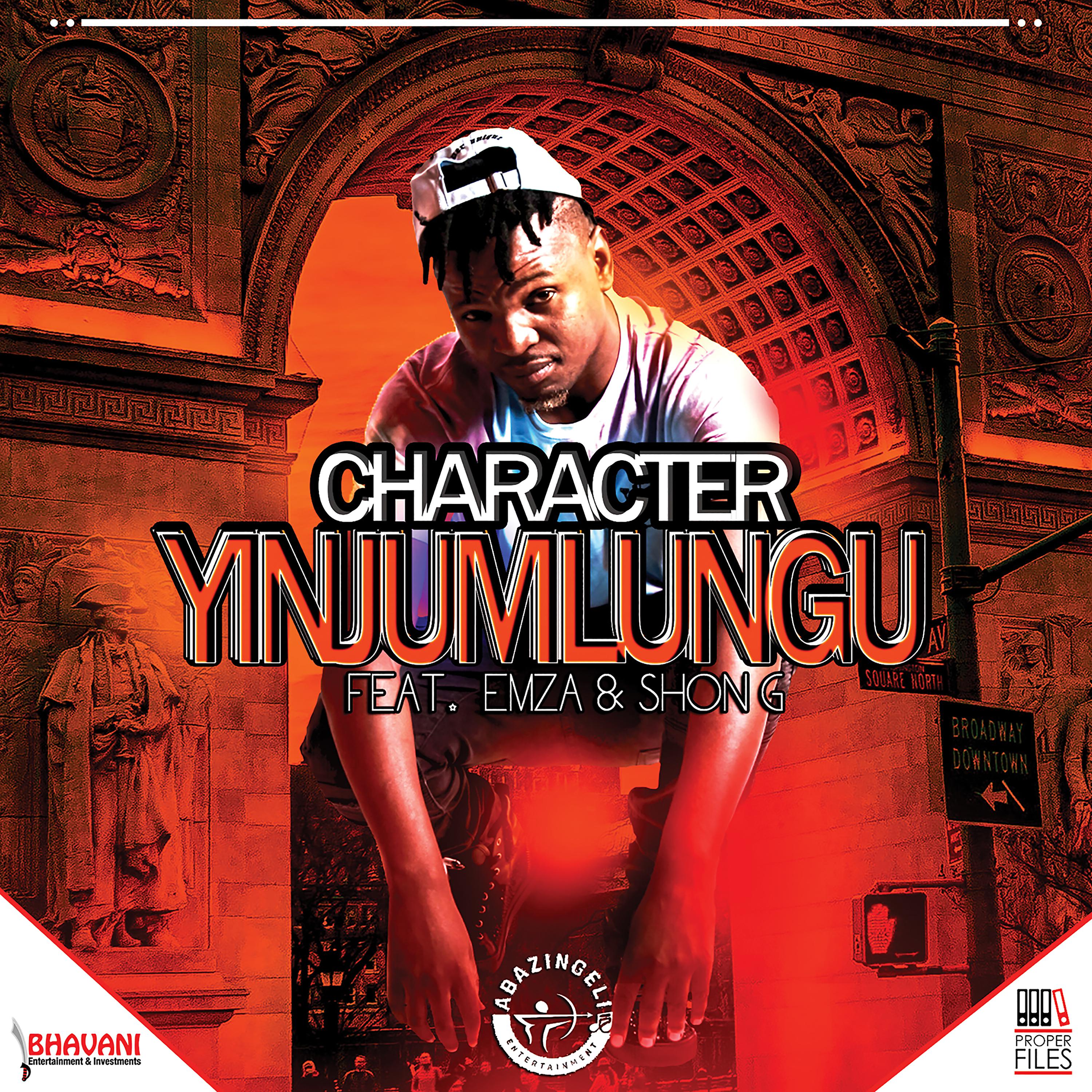 Постер альбома Yinjumlungu