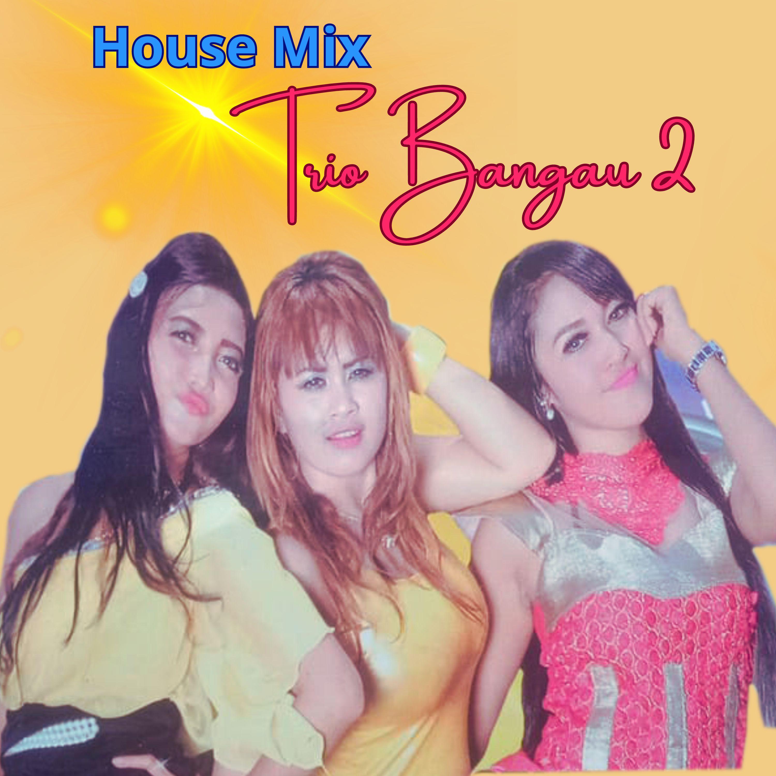 Постер альбома House Musik Trio Bangau 2