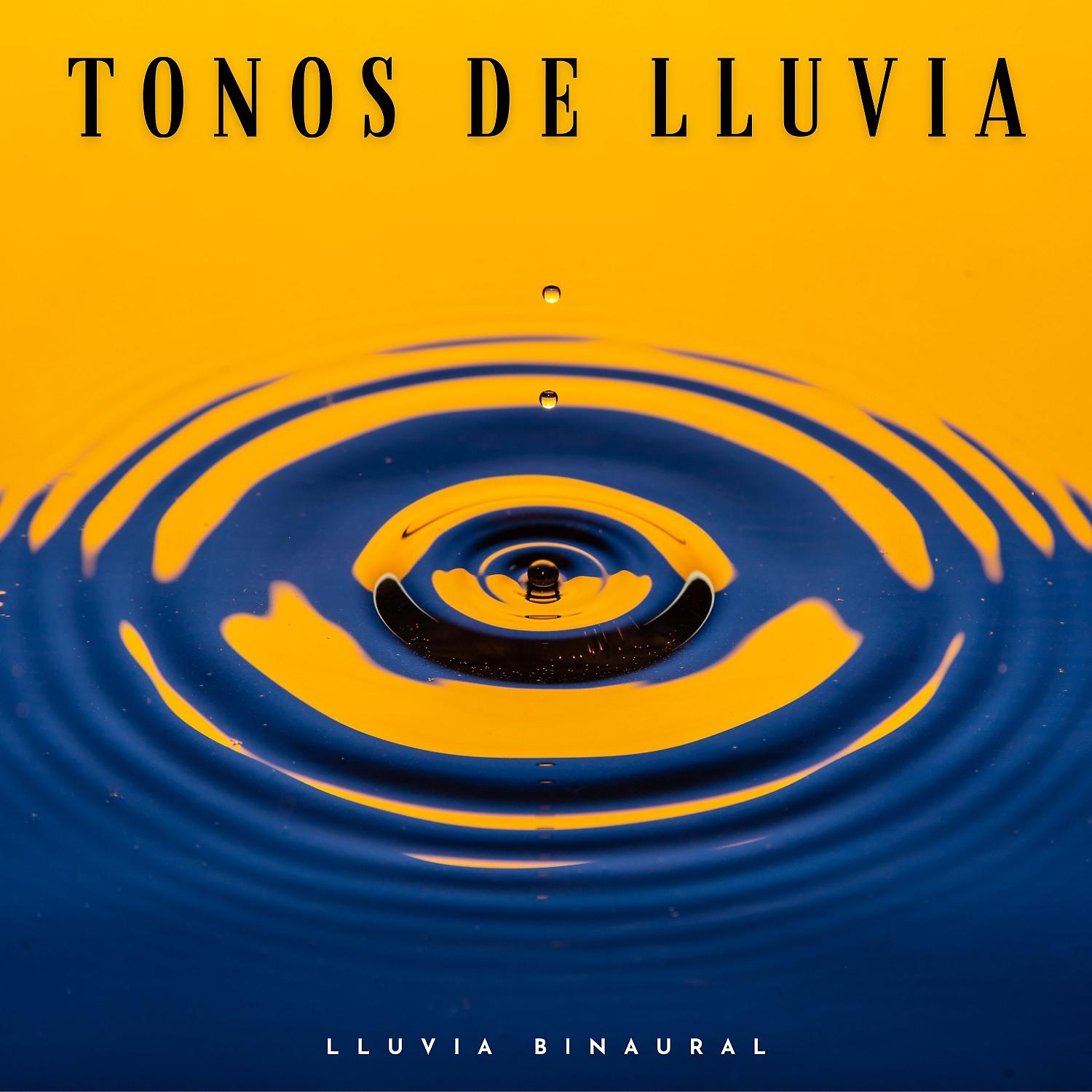 Постер альбома Tonos De Lluvia: Lluvia Binaural
