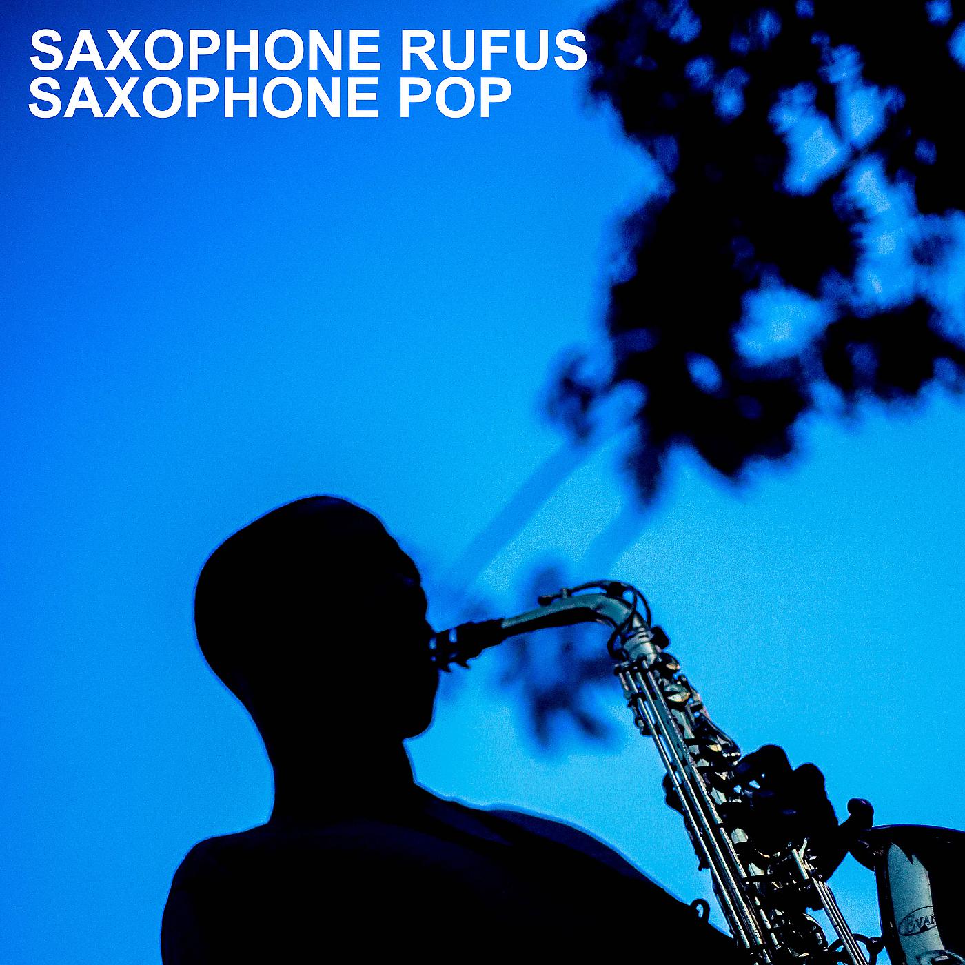 Постер альбома Saxophone Pop