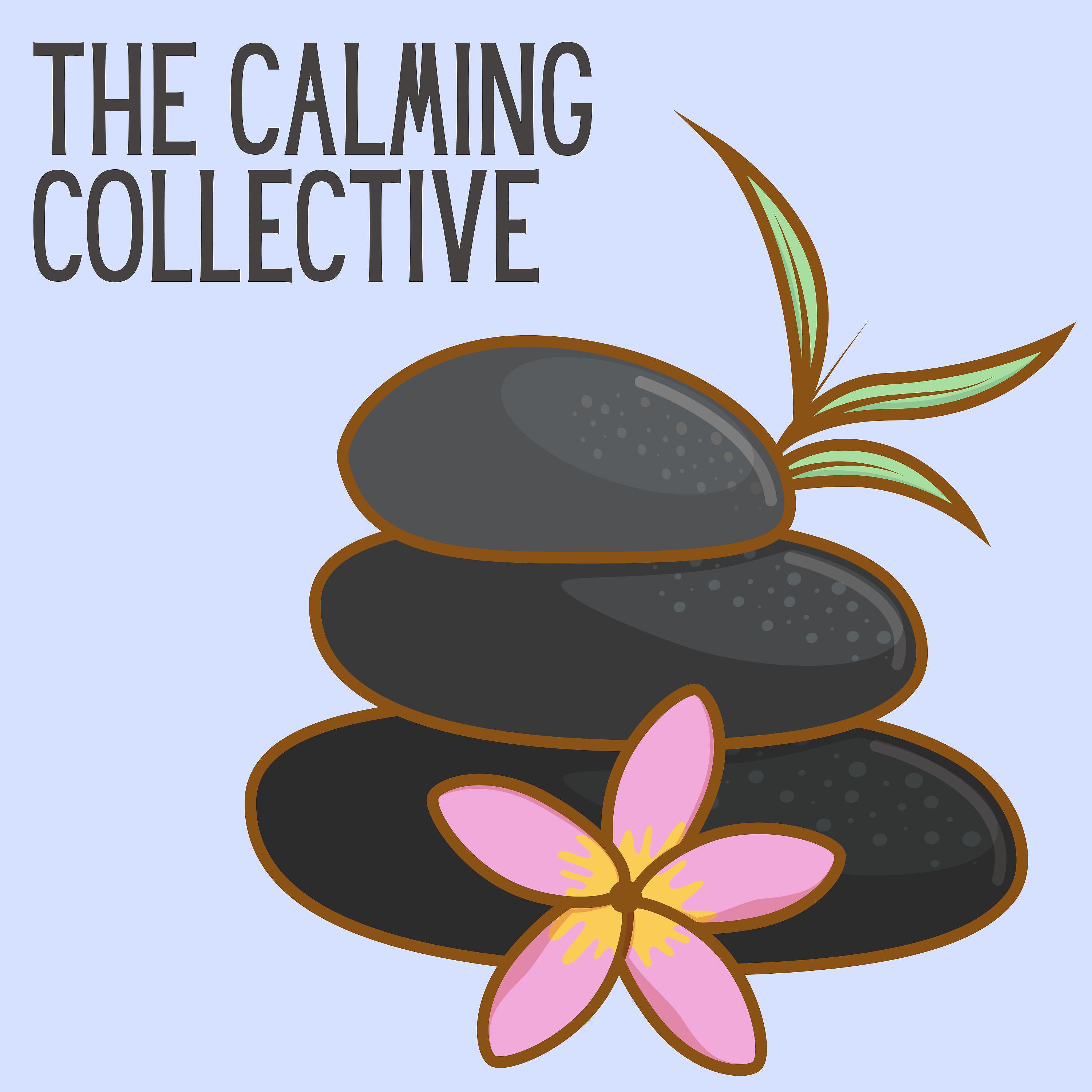 Постер альбома The Calming Collective