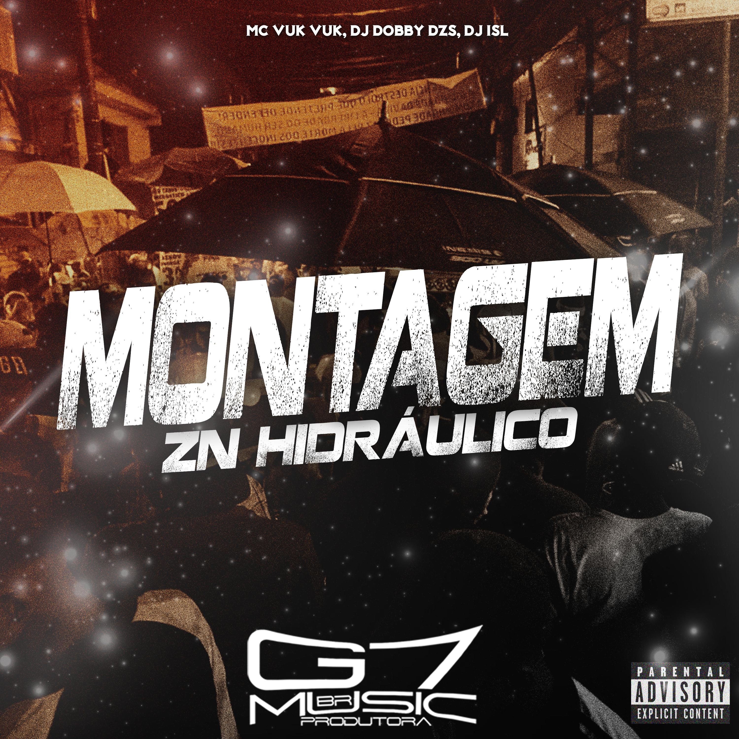 Постер альбома Montagem Zn Hidráulico