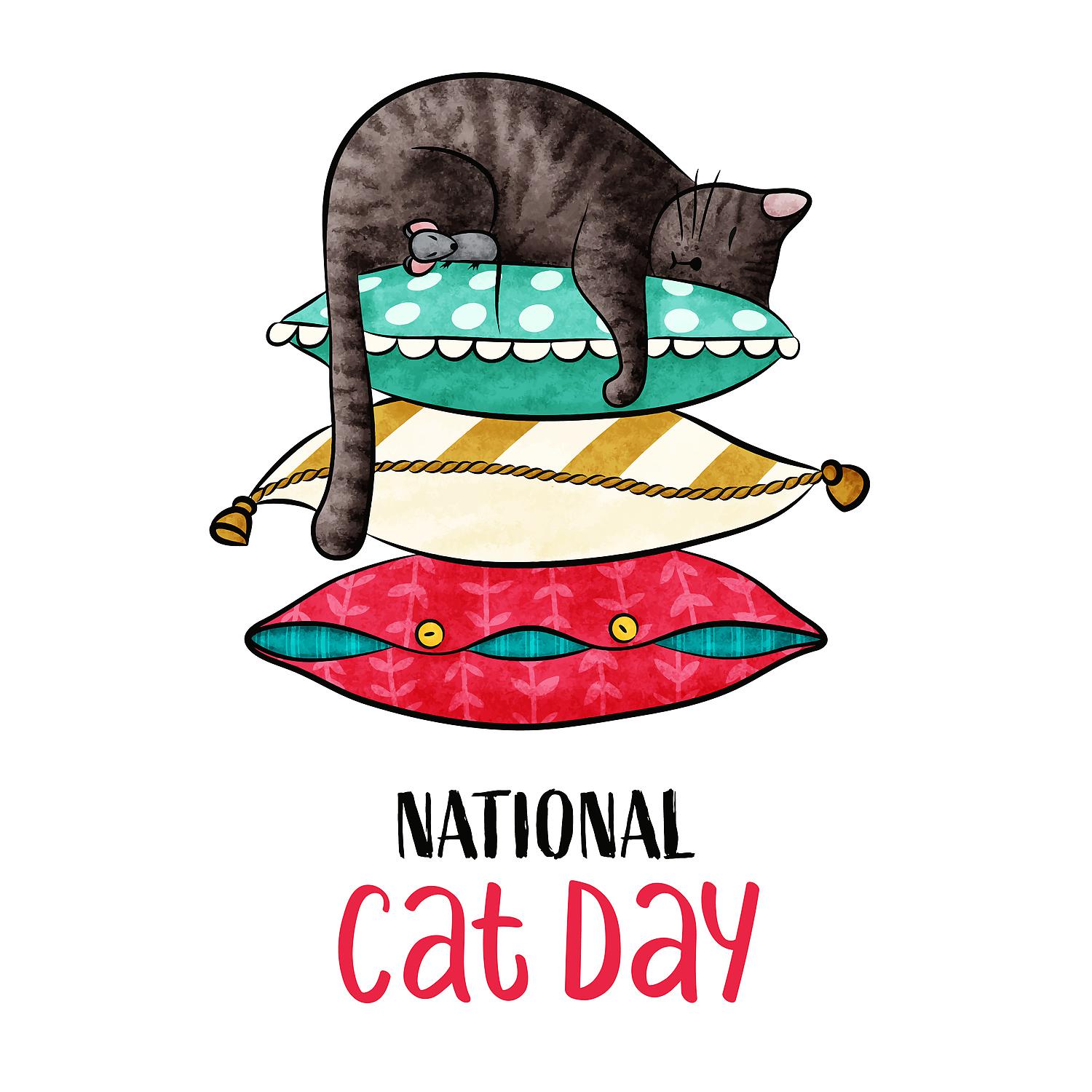 Постер альбома National Cat Day