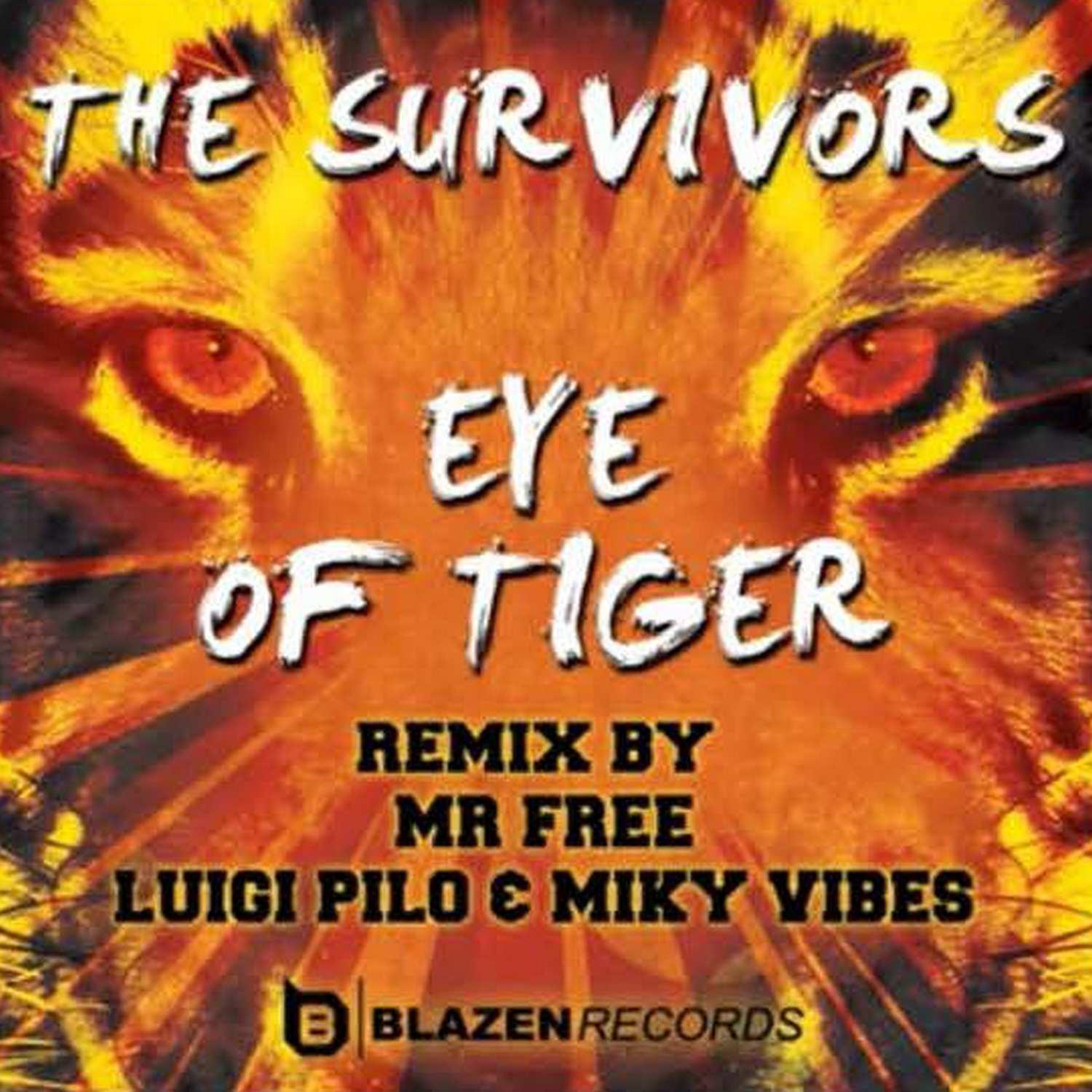 Постер альбома Eye Of Tiger (Mr. Free Remix)
