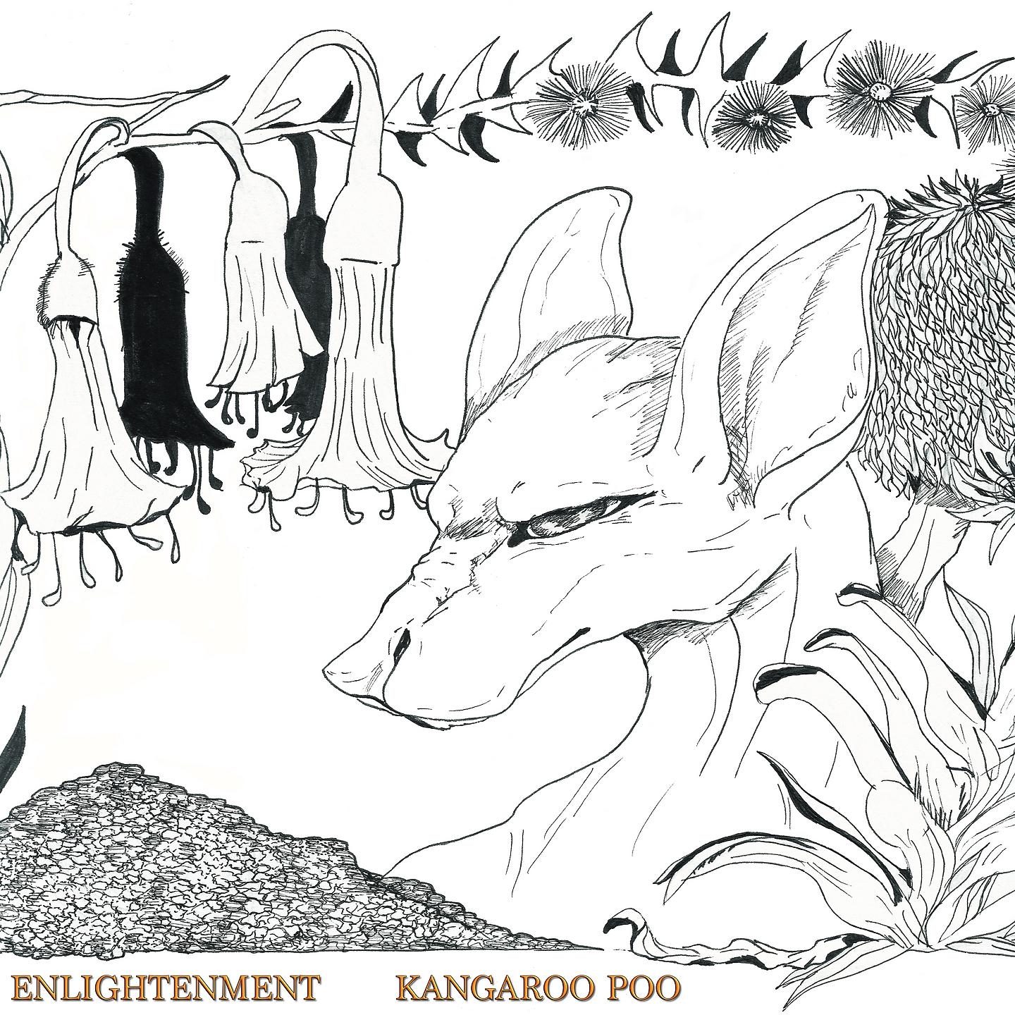 Постер альбома Kangaroo Poo