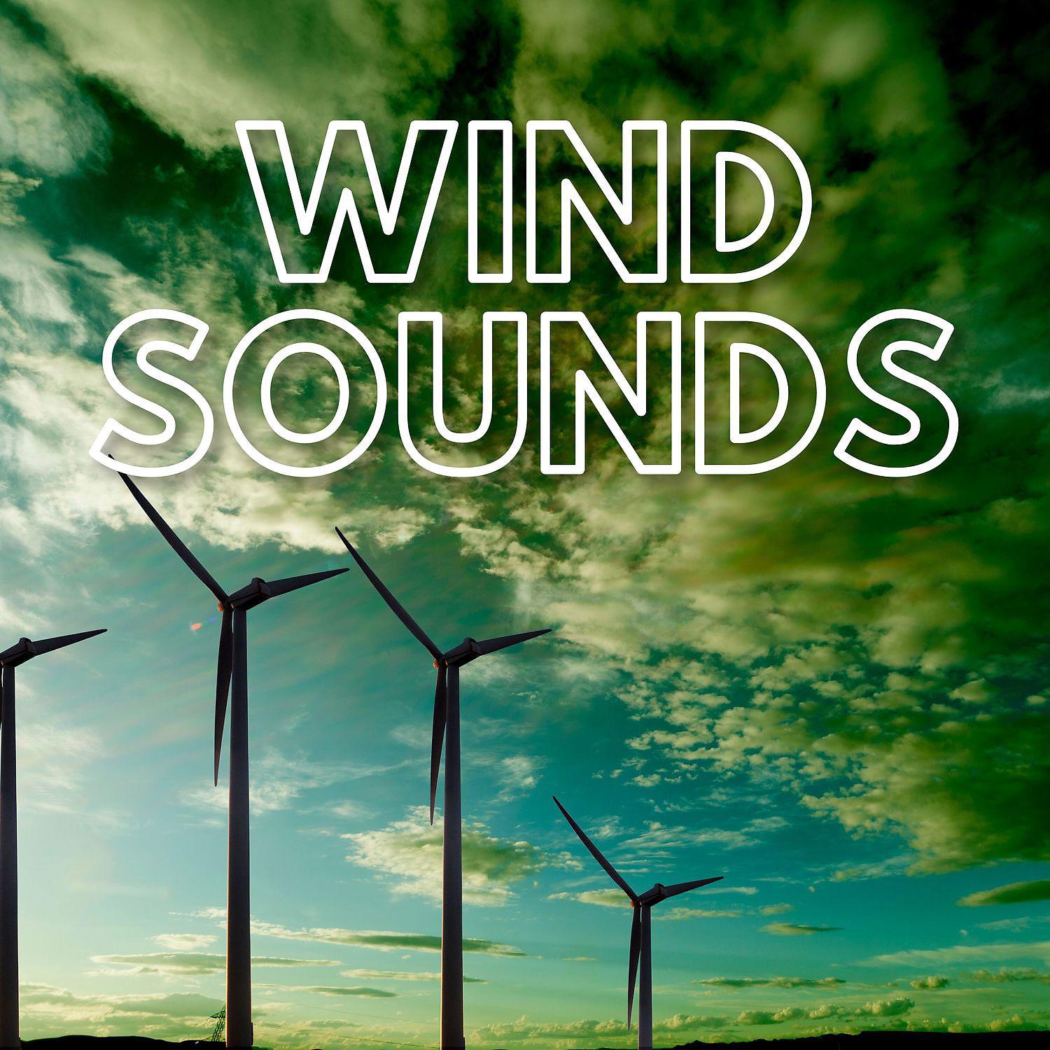 Постер альбома Wind Sounds (Relaxing, Calming and Soothing Noises)