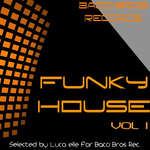 Постер альбома Funky House - Vol. 1