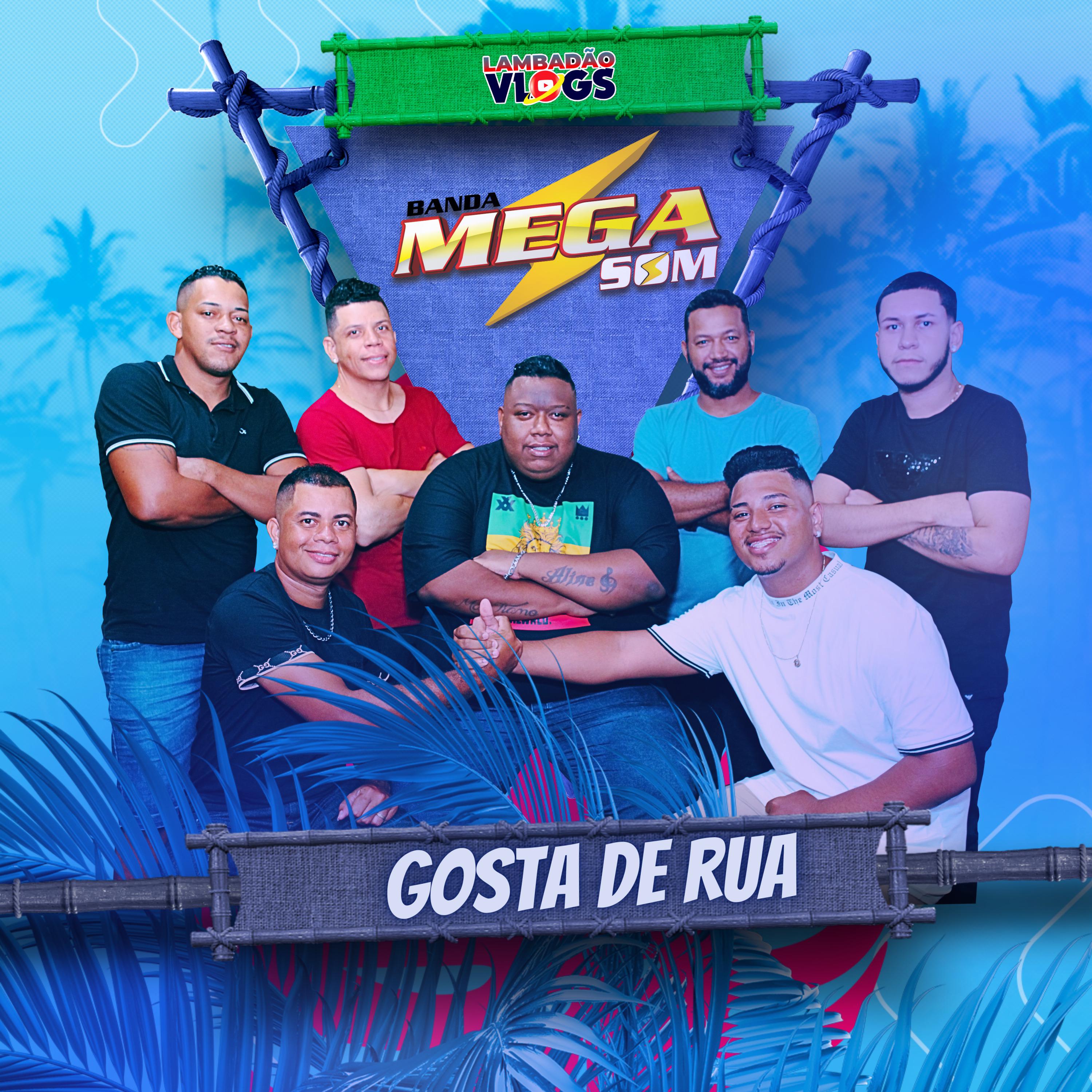 Постер альбома Gosta de Rua