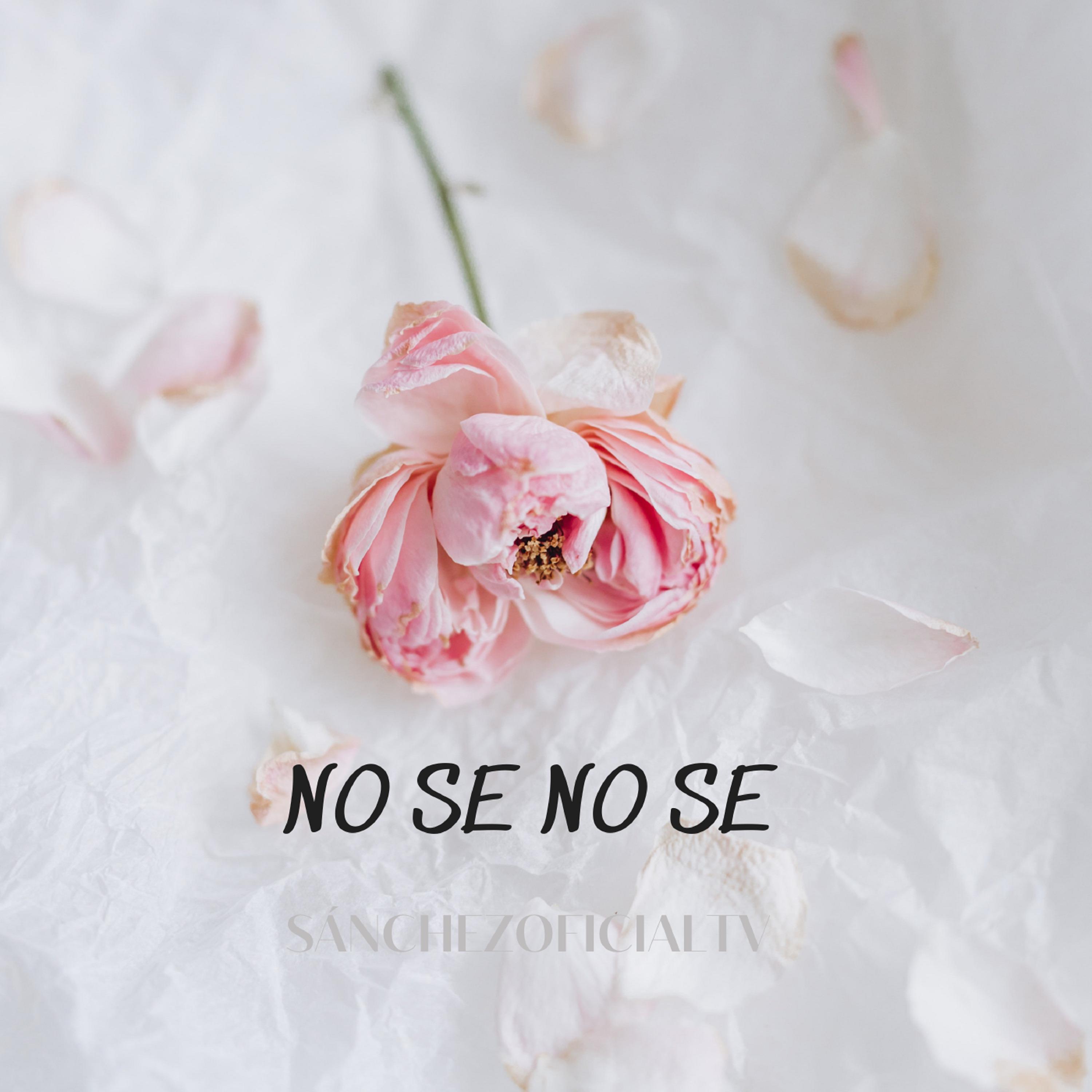 Постер альбома No Se No Se