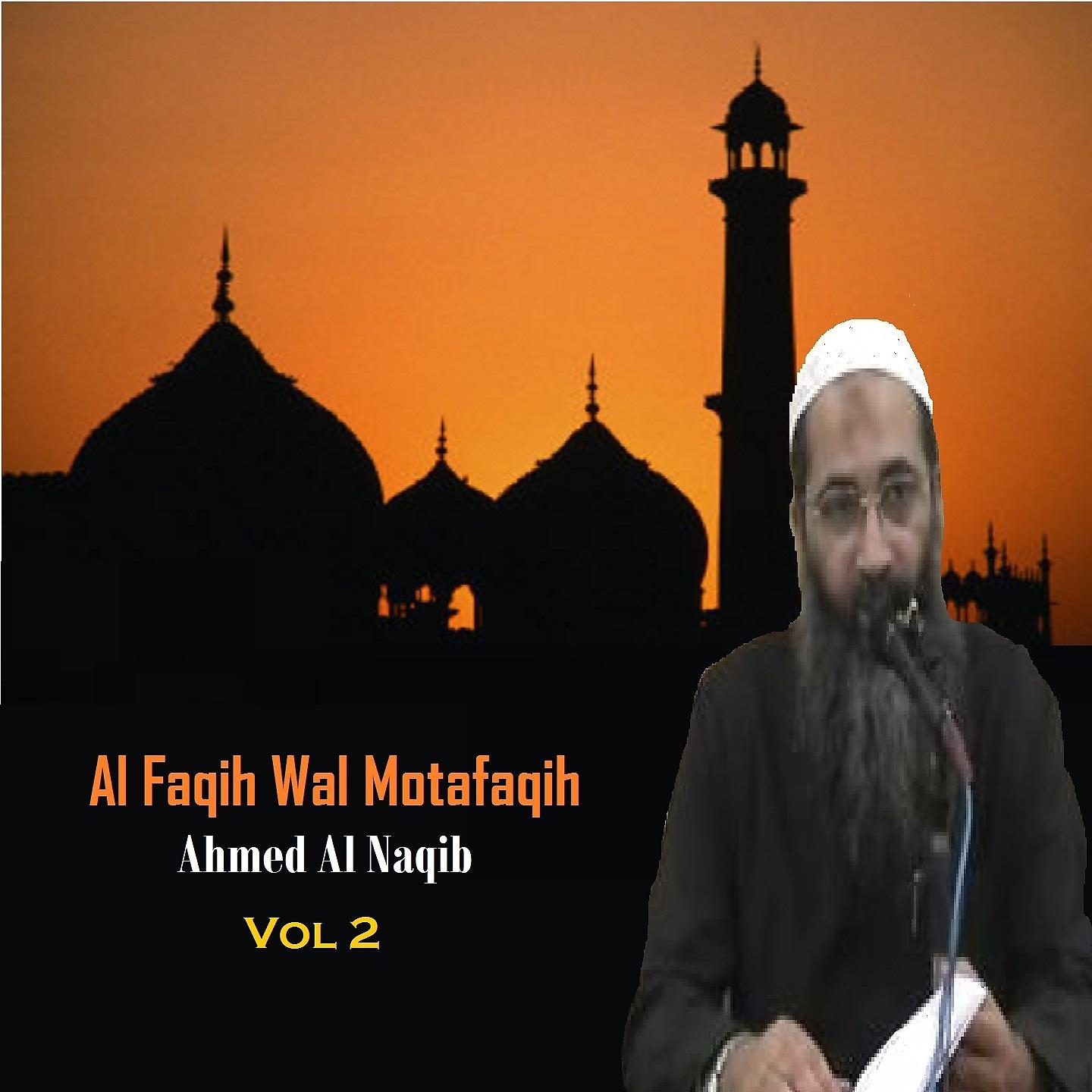 Постер альбома Al Faqih Wal Motafaqih Vol 2
