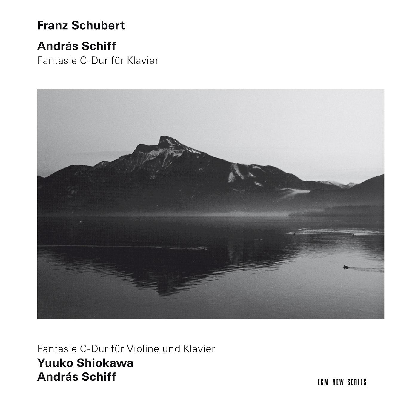 Постер альбома Schubert: Fantasien D. 760, D. 934