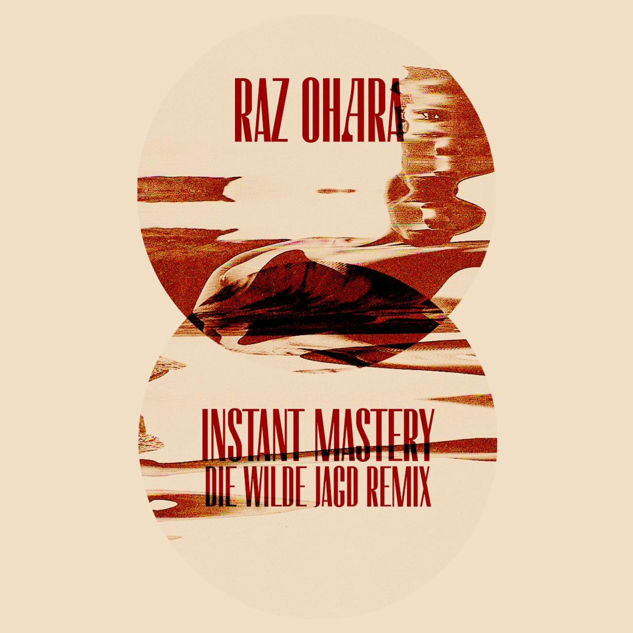 Постер альбома Instant Mastery