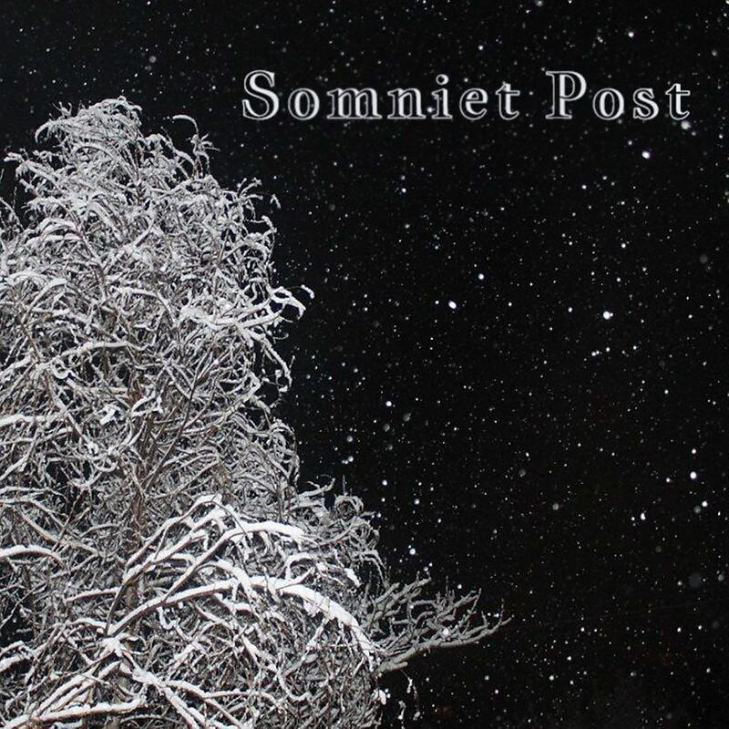 Постер альбома Somniet Post
