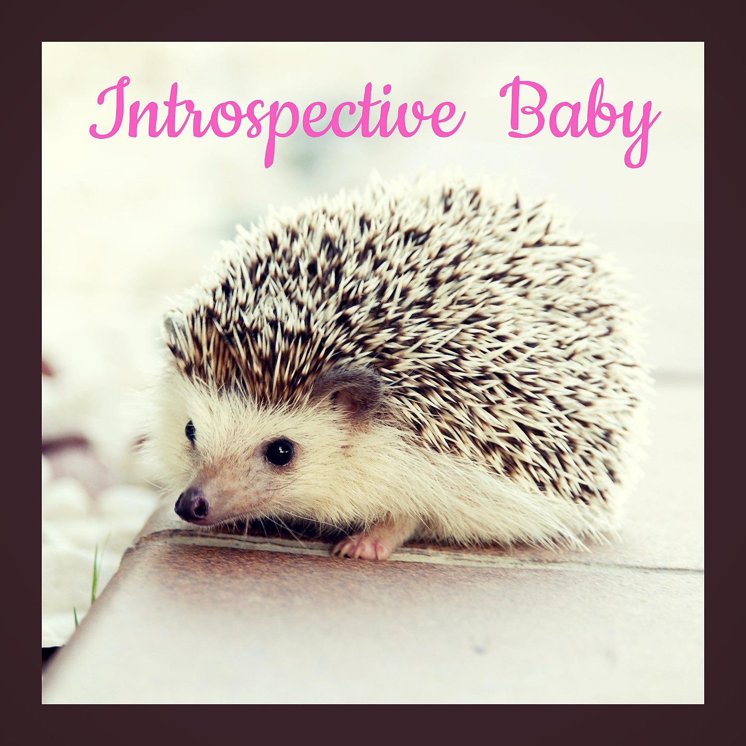 Постер альбома Introspective Baby