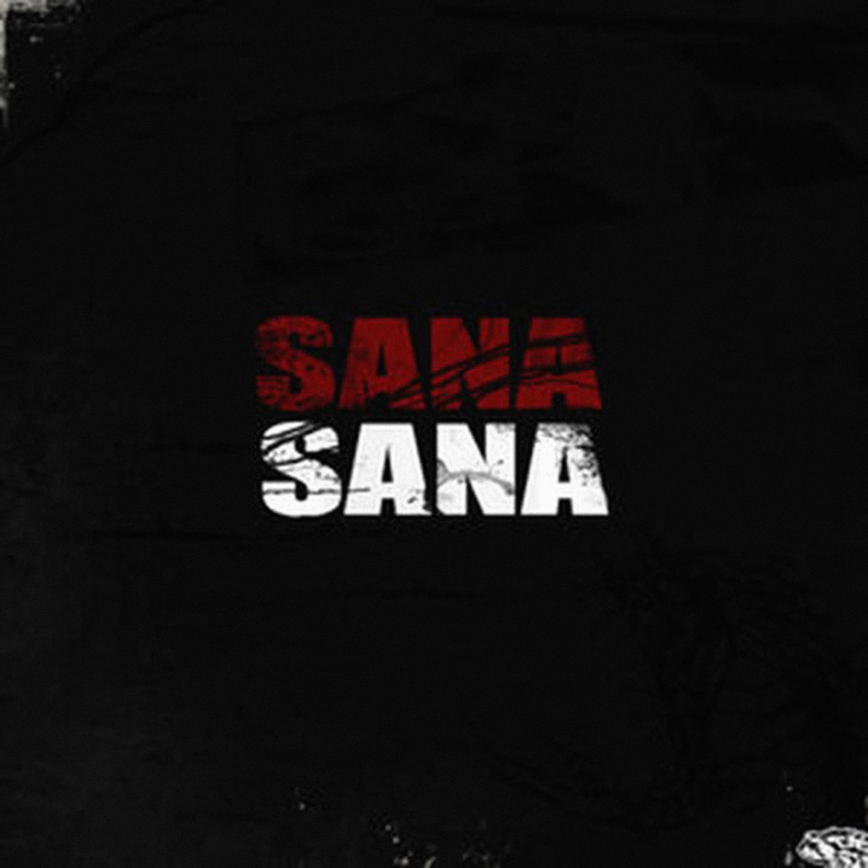 Постер альбома Sana Sana