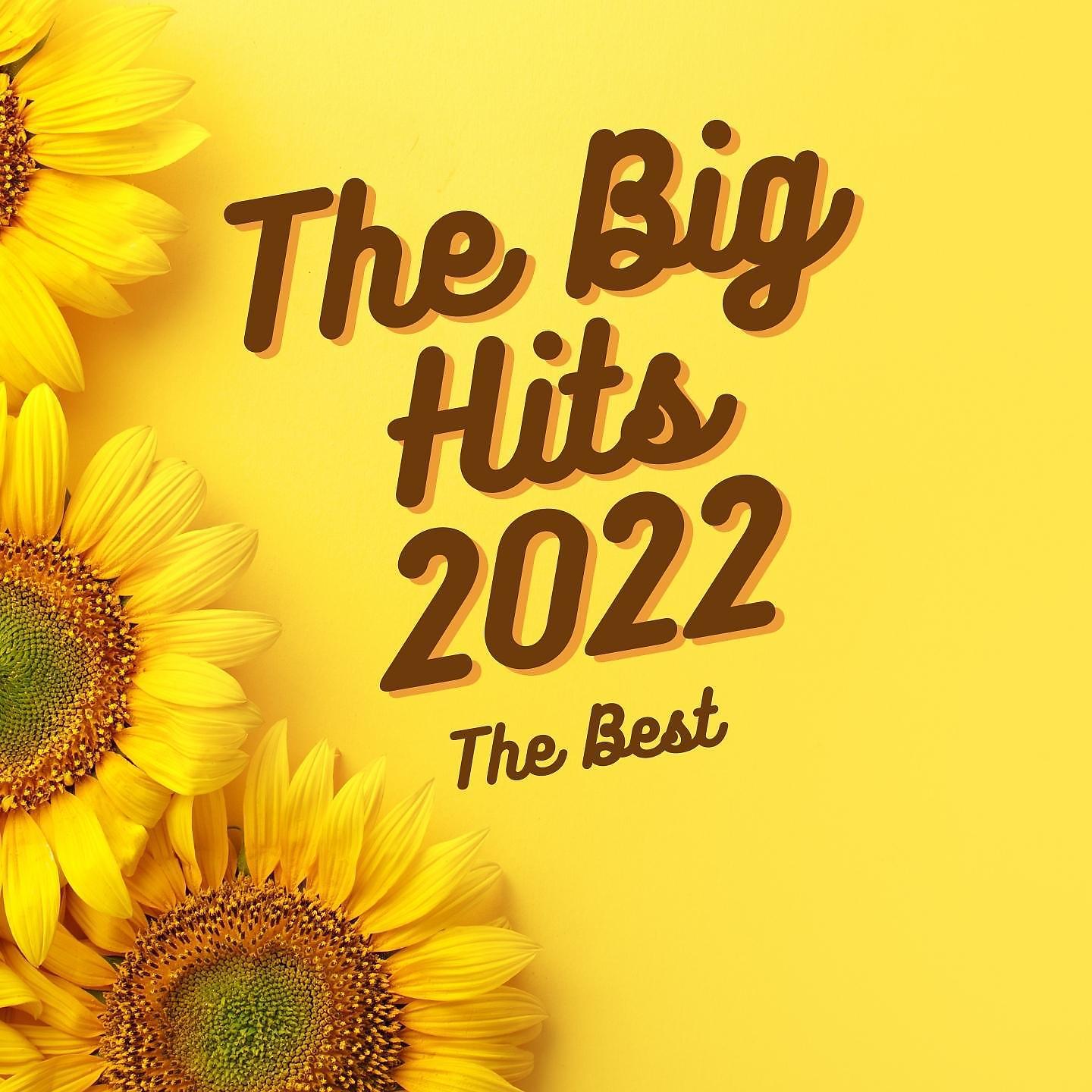 Постер альбома The Big Hits 2022: The Best