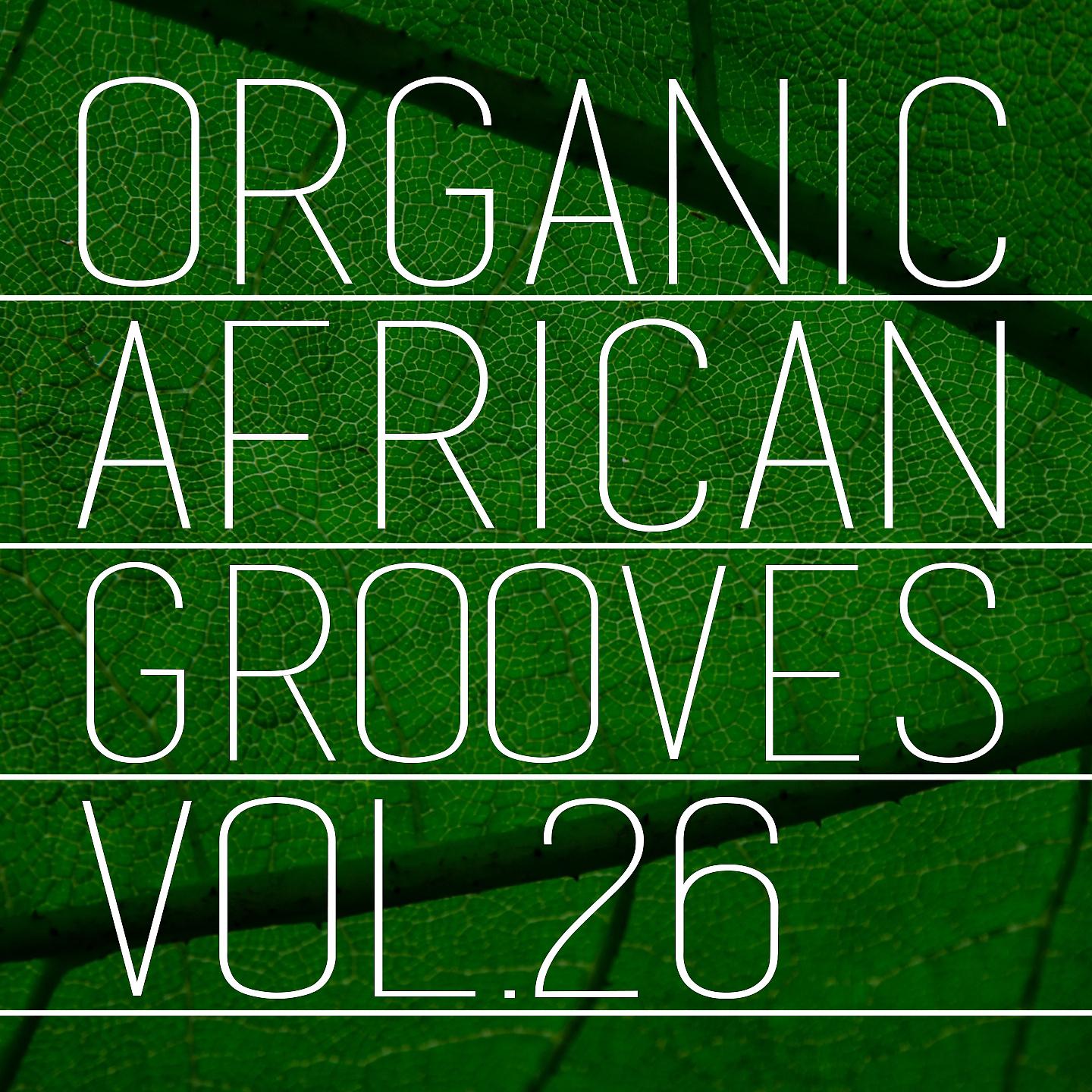 Постер альбома Organic African Grooves, Vol.26