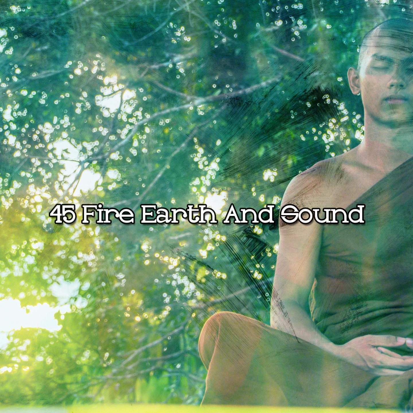 Постер альбома 45 Fire Earth And Sound