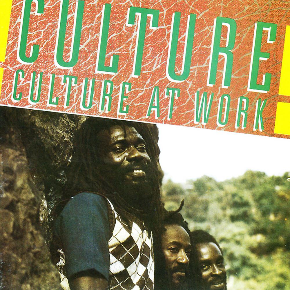 Постер альбома Culture At Work