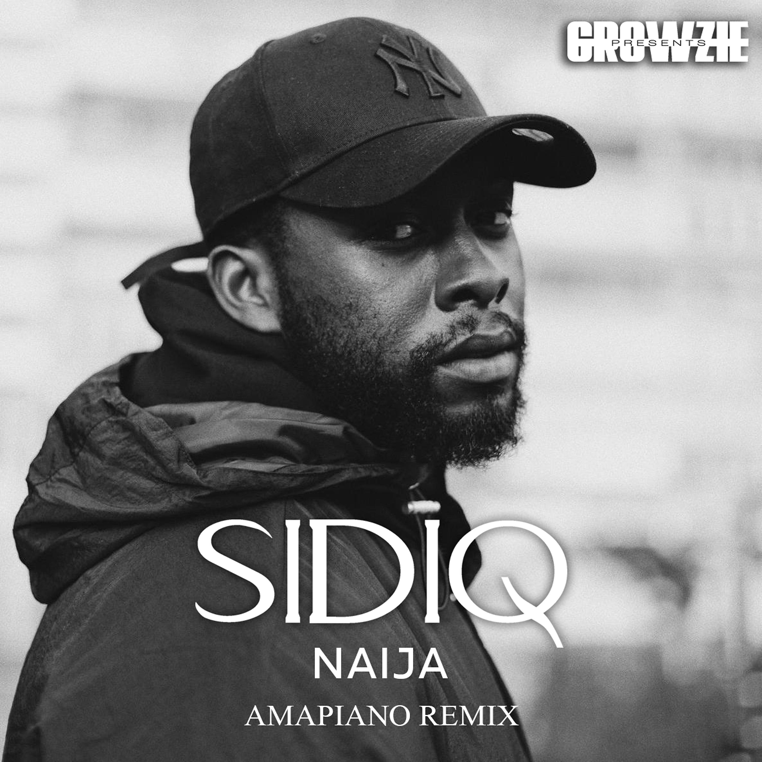 Постер альбома Naija (Amapiano Remix)
