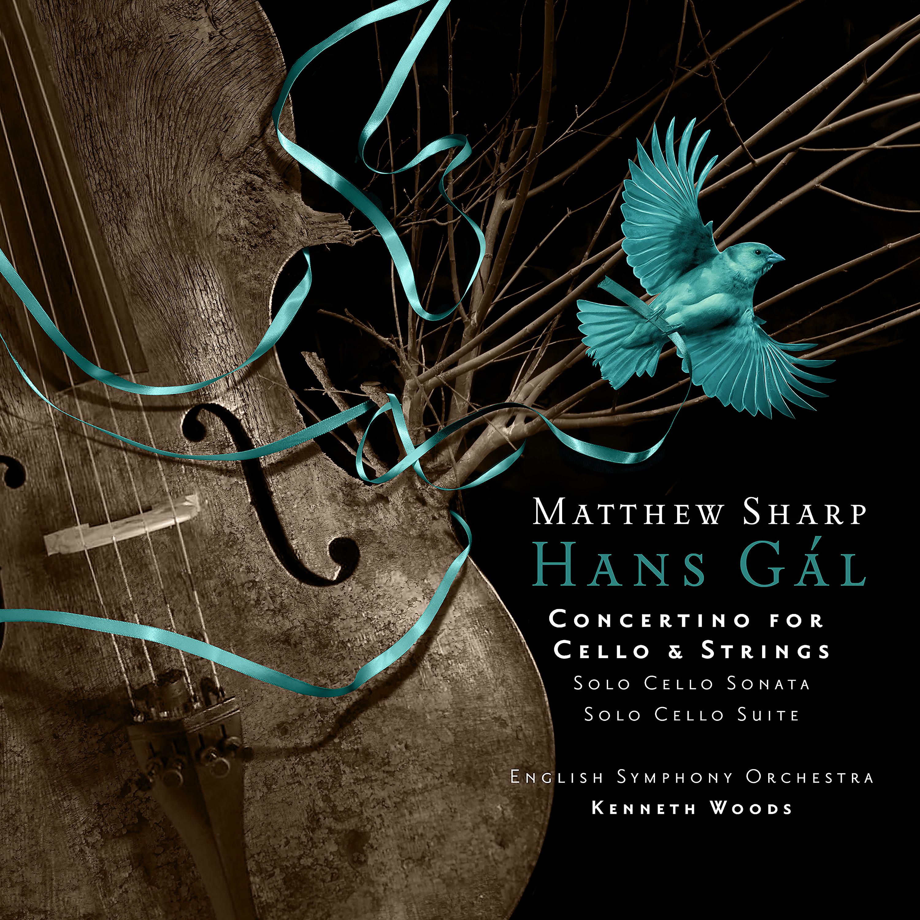 Постер альбома Hans Gál: Concertino for Cello and Strings