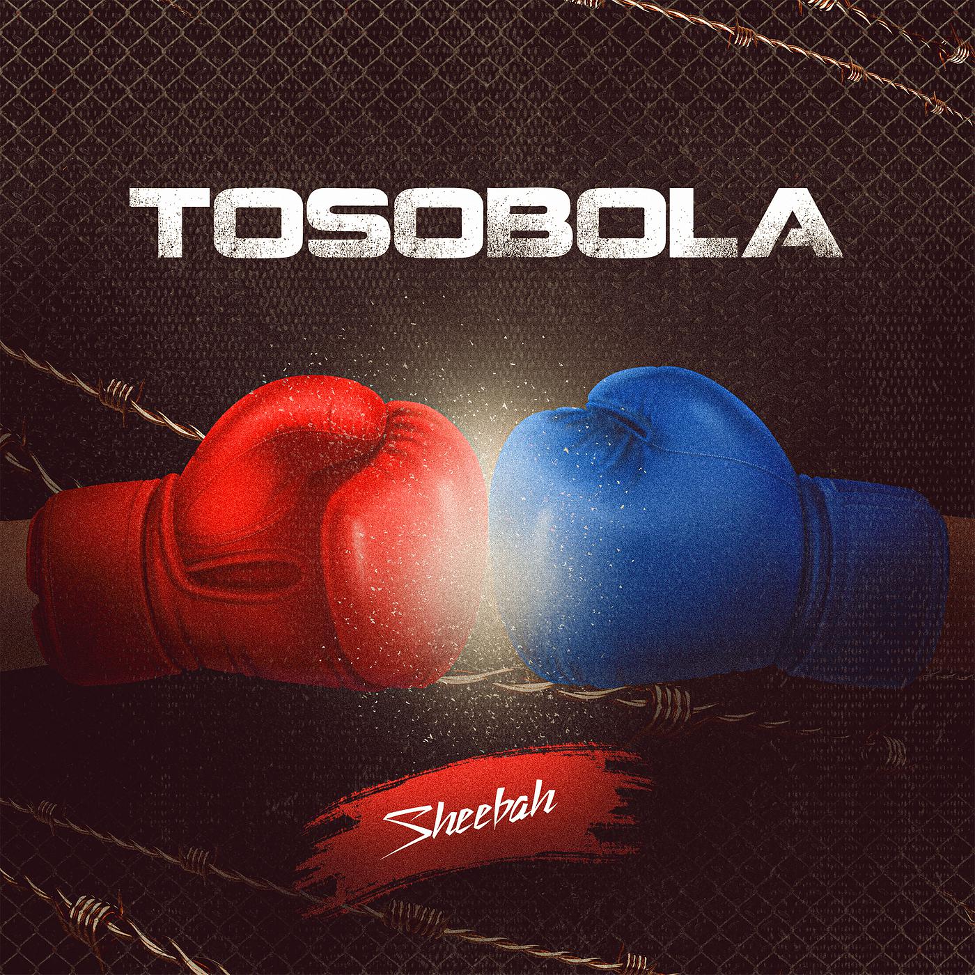 Постер альбома Tosobola