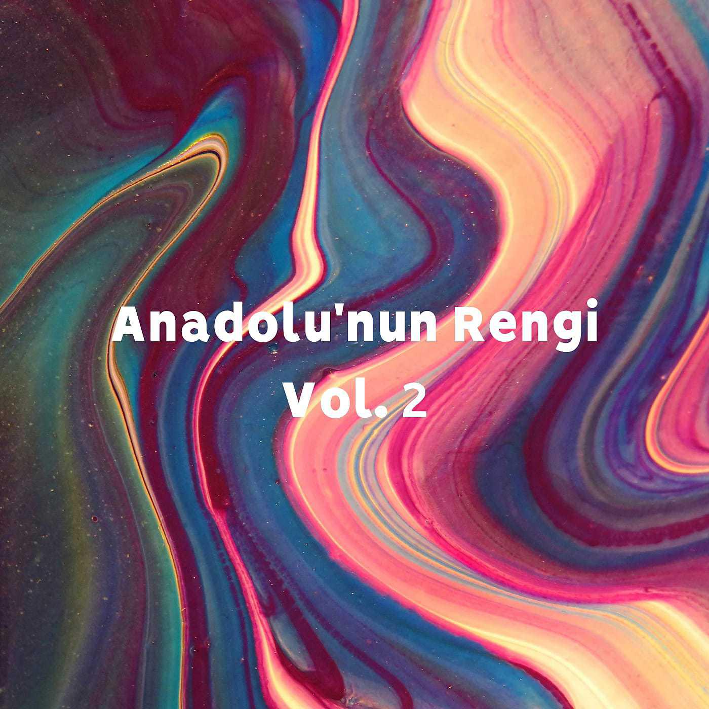Постер альбома Anadolu'nun Rengi, Vol.2