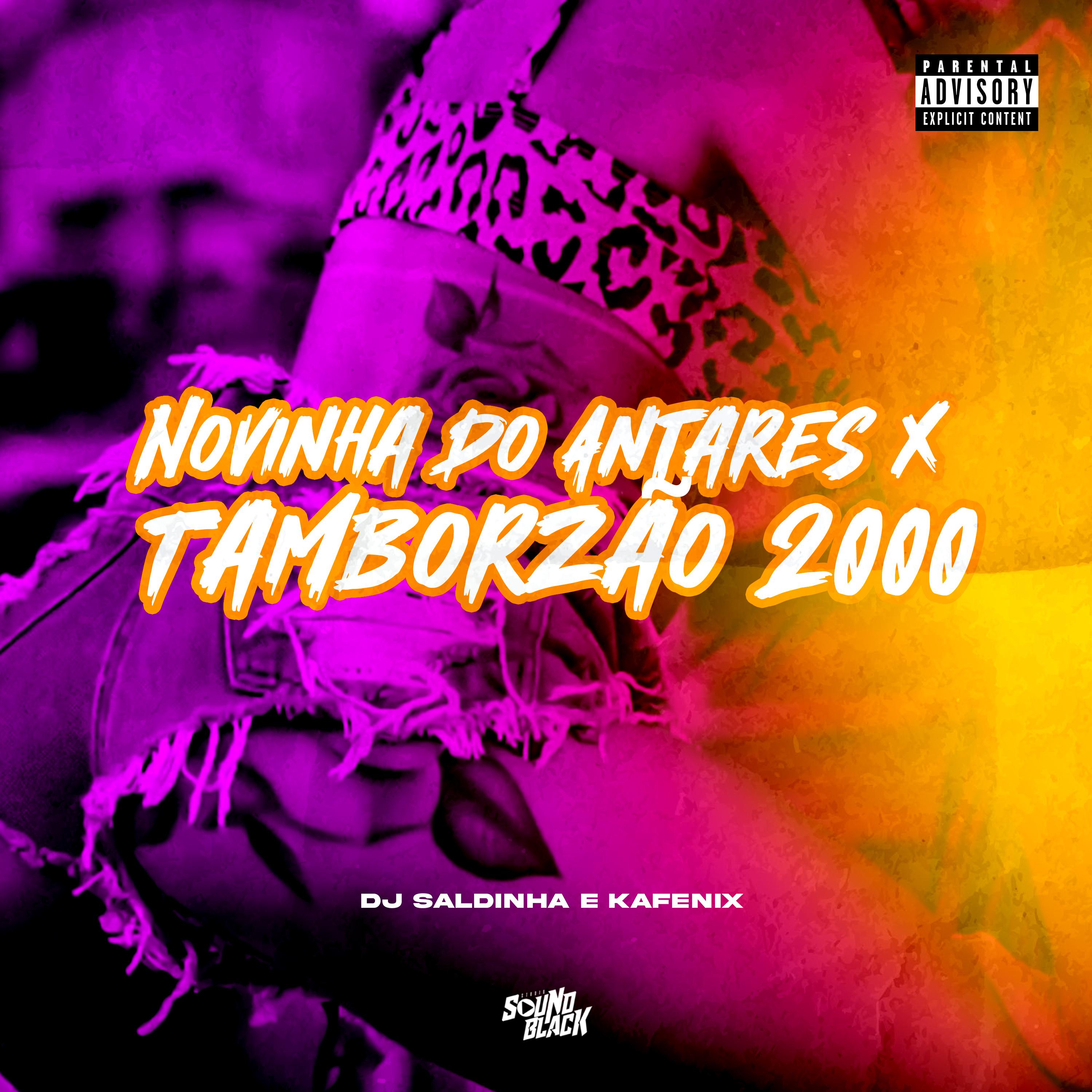 Постер альбома Novinha do Antares X Tamborzão 2000