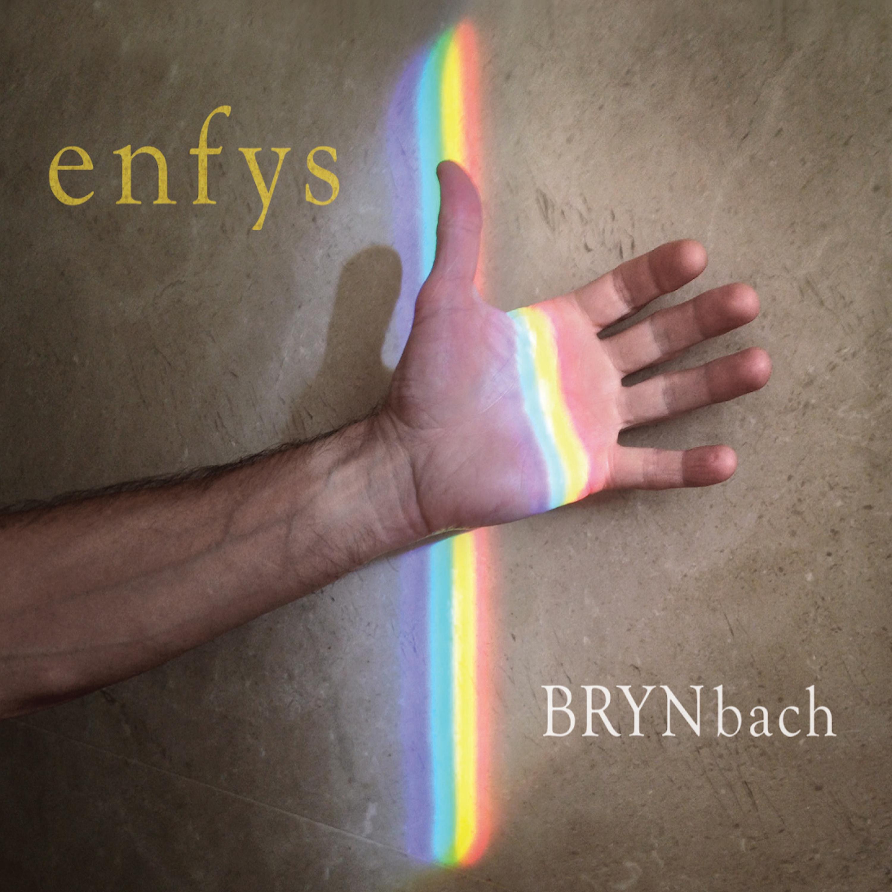 Постер альбома Enfys