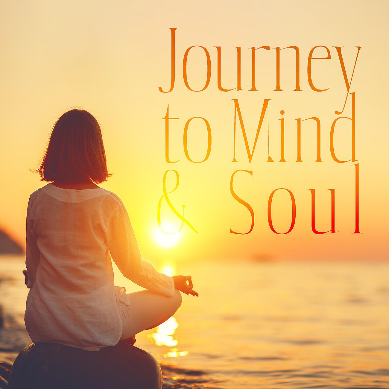 Постер альбома Journey to Mind & Soul