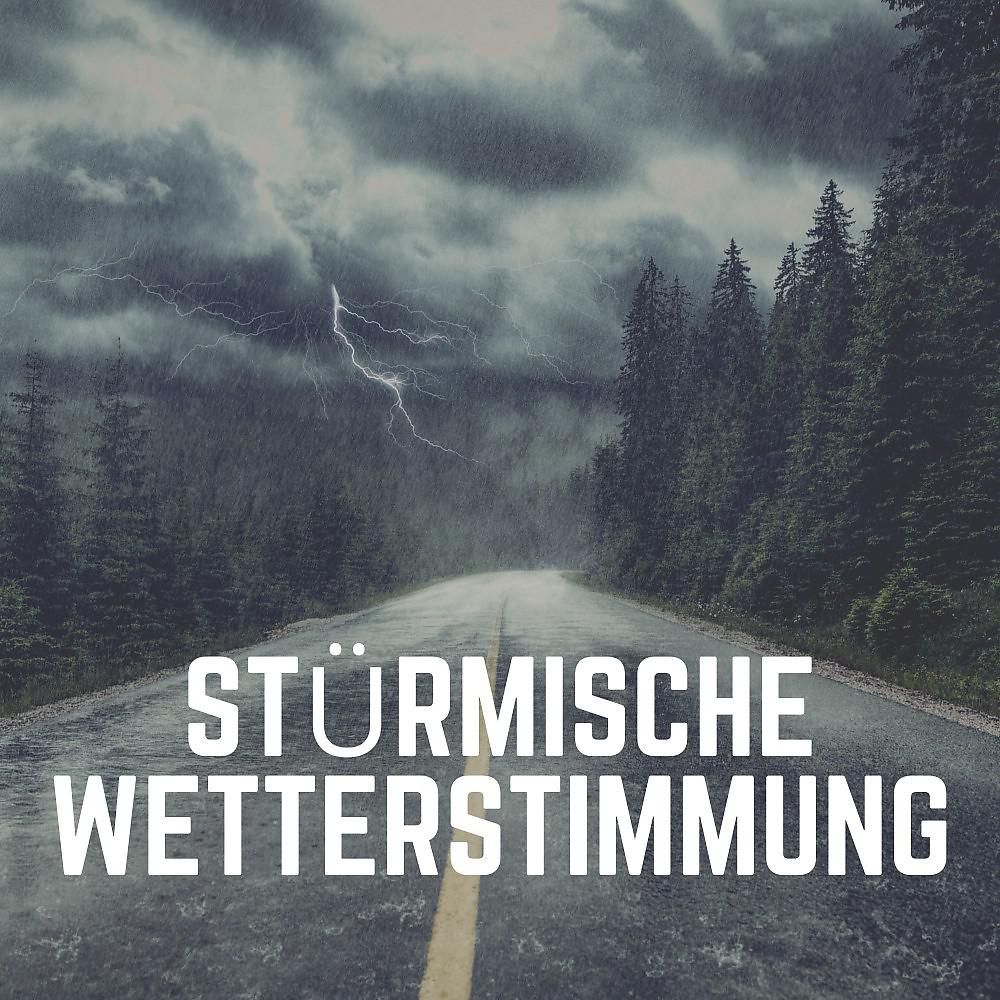 Постер альбома Stürmische Wetterstimmung
